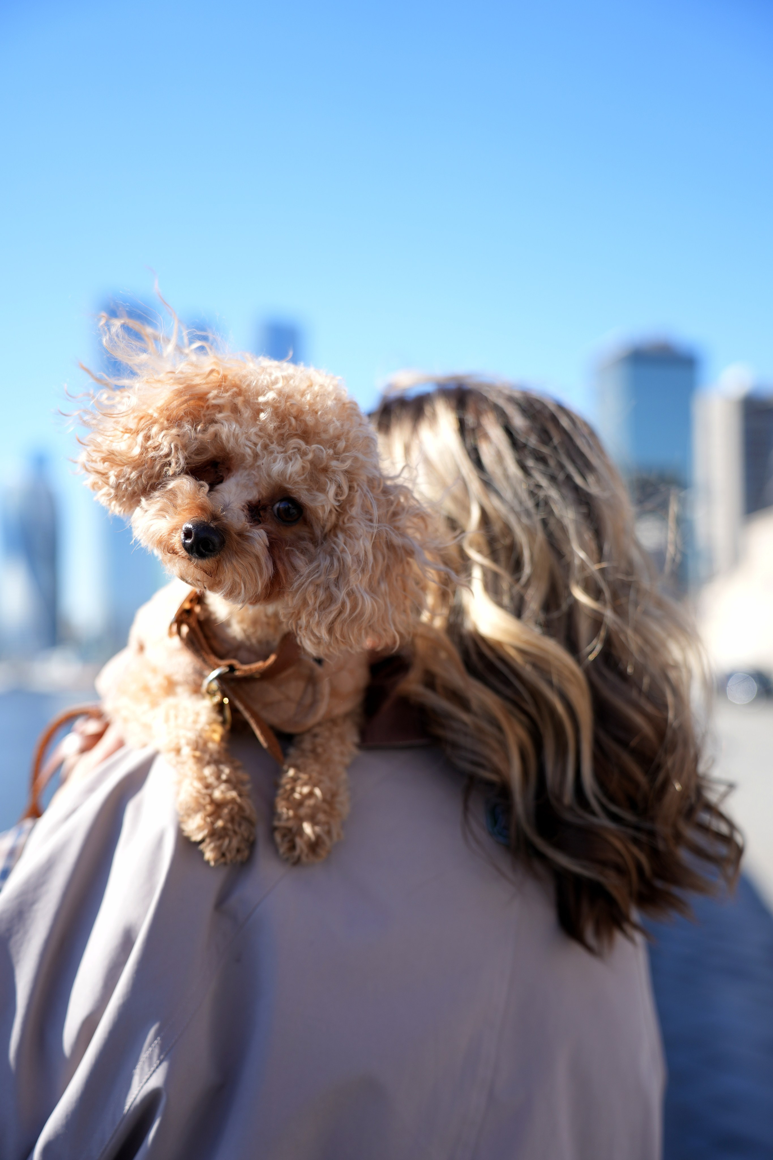 Саша. Виктория Саханкова — портретный и семейный фотограф в Москве