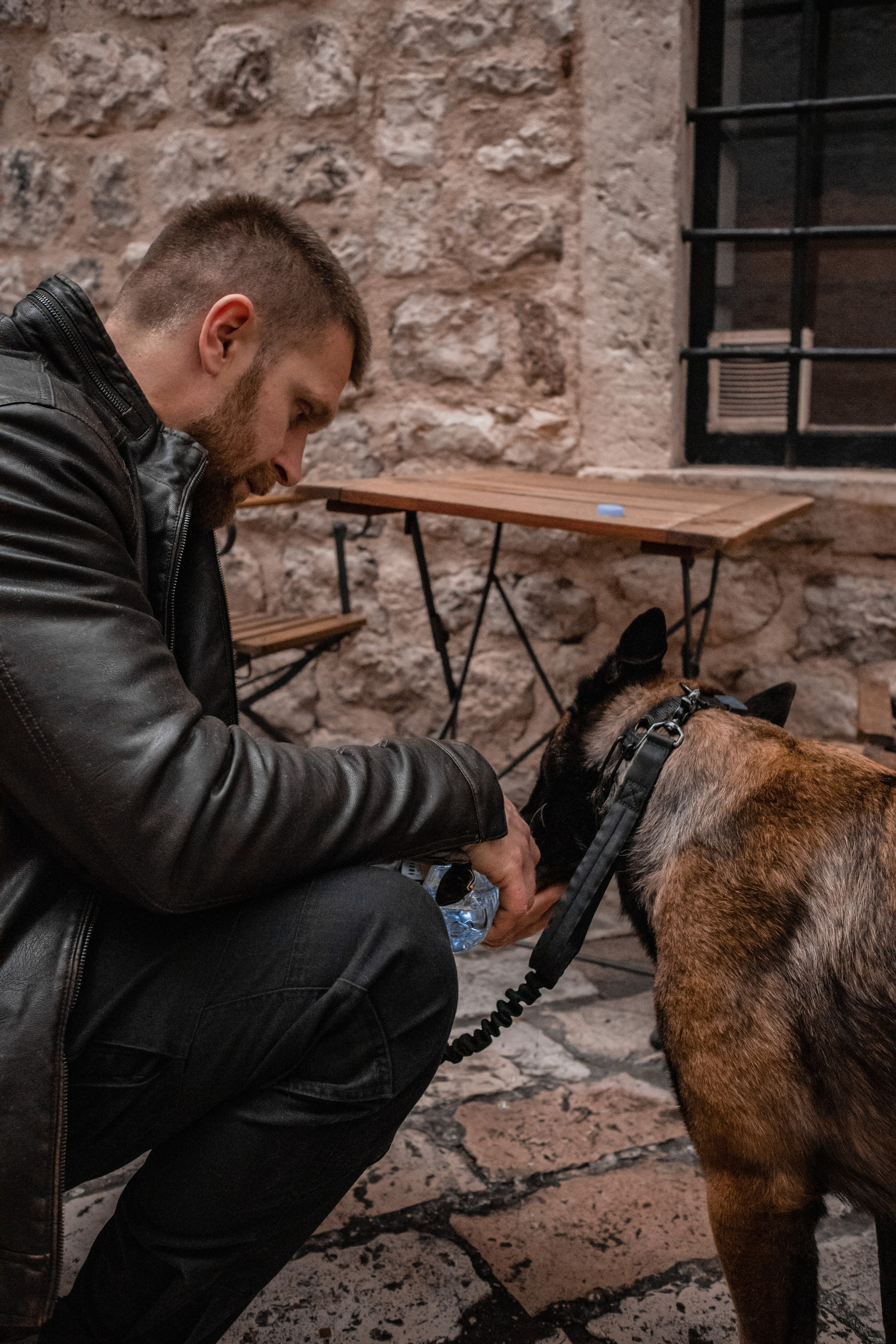 Photoshoot with a dog in Montenegro. Portrait photographer in Tivat Montenegro Katerina Kirsanova