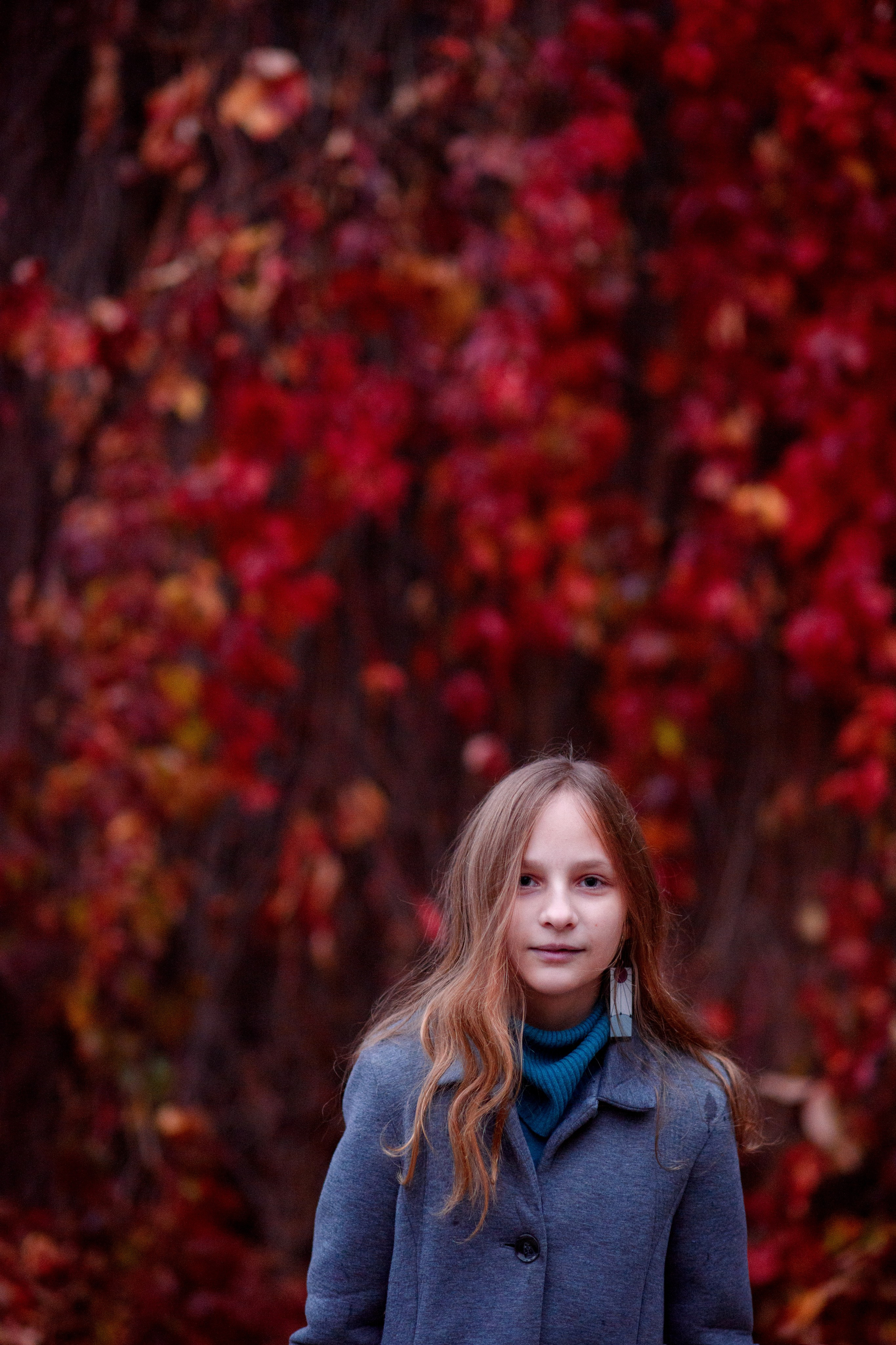 Фотосессия на фоне красного дикого винограда. Главная