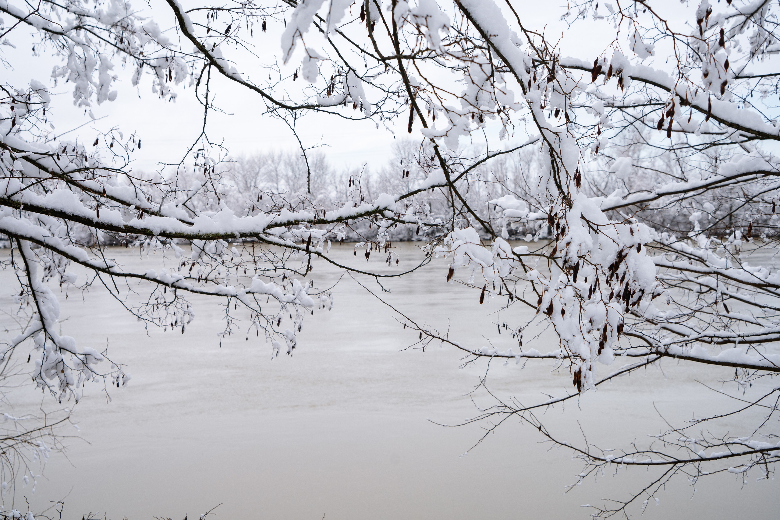 Зима 2024. Свадебный и семейный фотограф/видеограф в Краснодаре Наталья Осинская