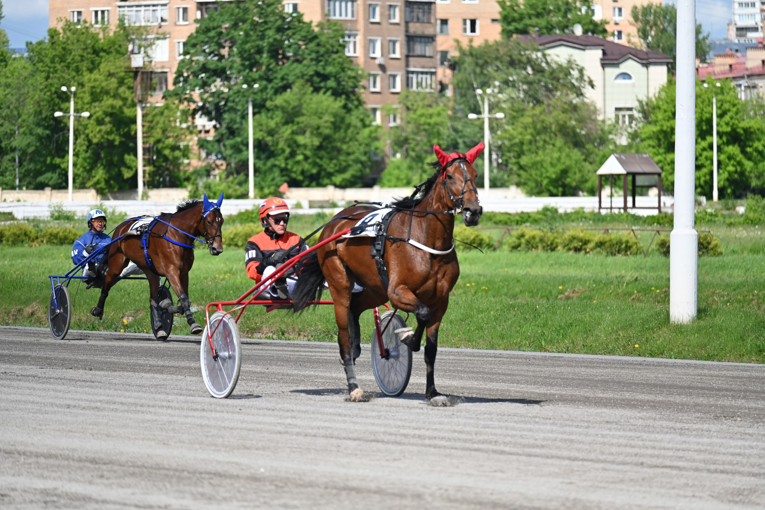Московский ипподром. Fotolux