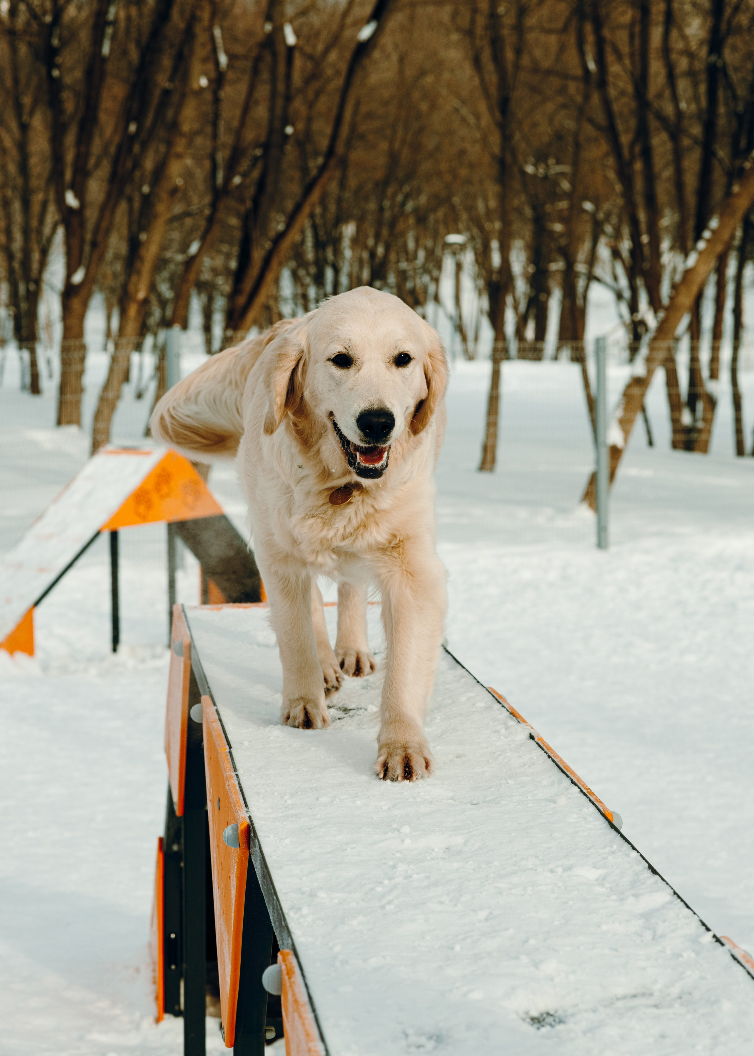 Эва и Настя. Анна Самохина. Фотограф. Москва