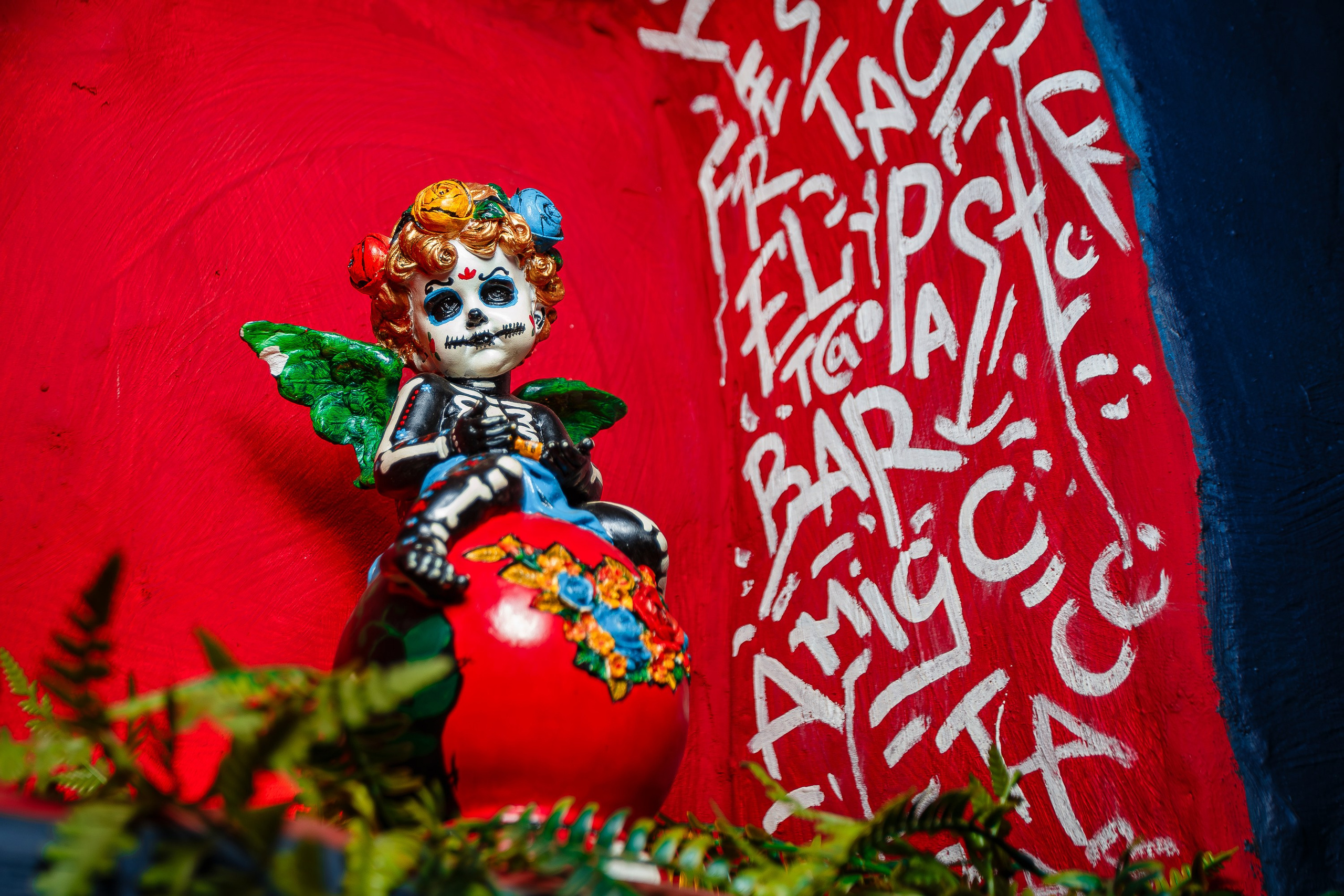 Движ_El Pastor_Симферополь_14.12.2024. Аминов Руслан | Фотограф