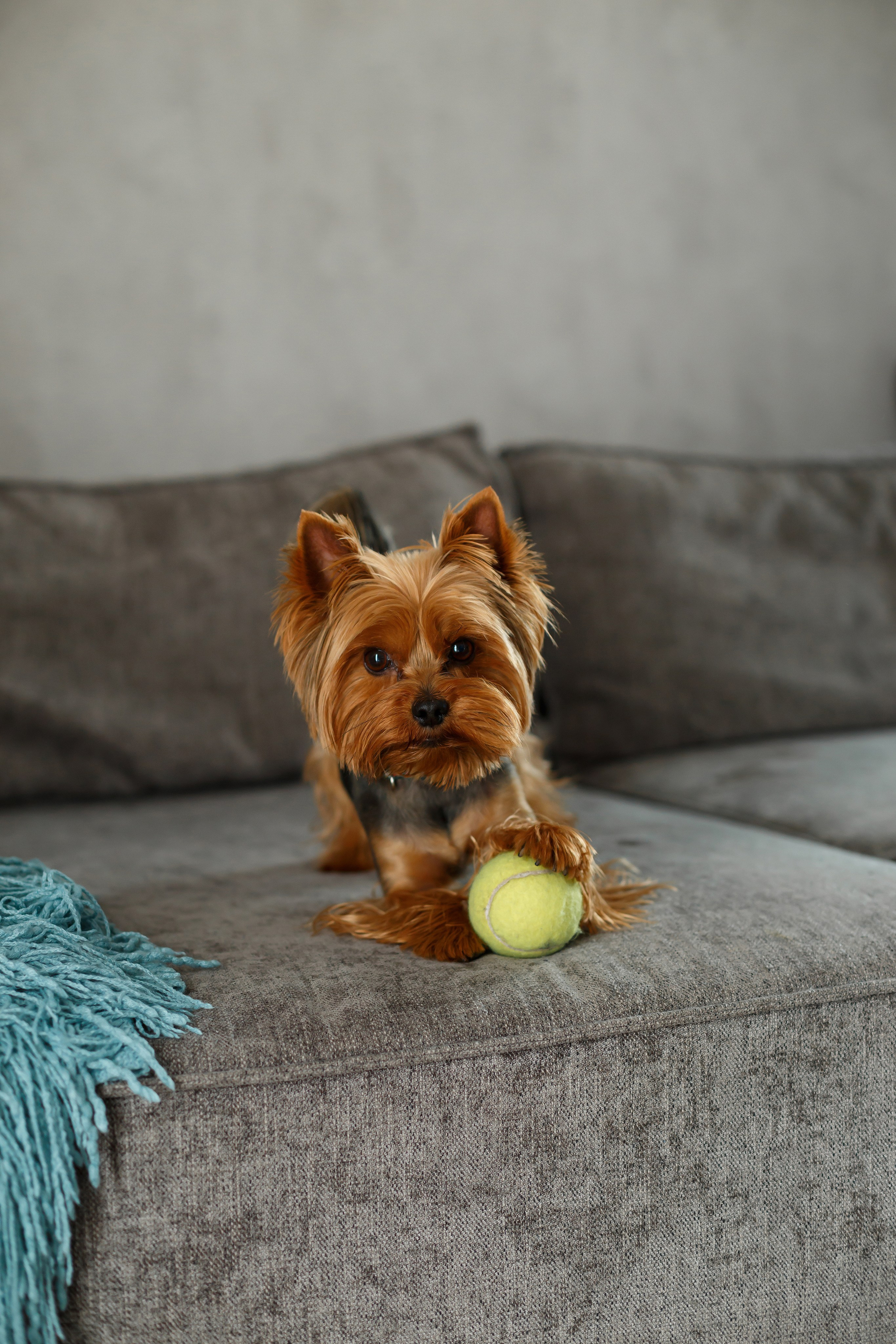 Хроники семейного счастья. Фотограф в городе Томске. Жданова Олеся