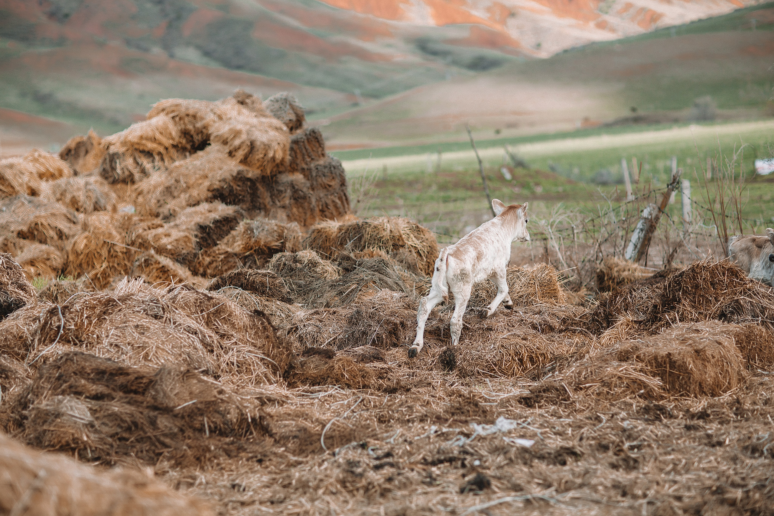 Семейная фотосессия в горах. Свадебный и семейный фотограф/видеограф в Краснодаре Наталья Осинская