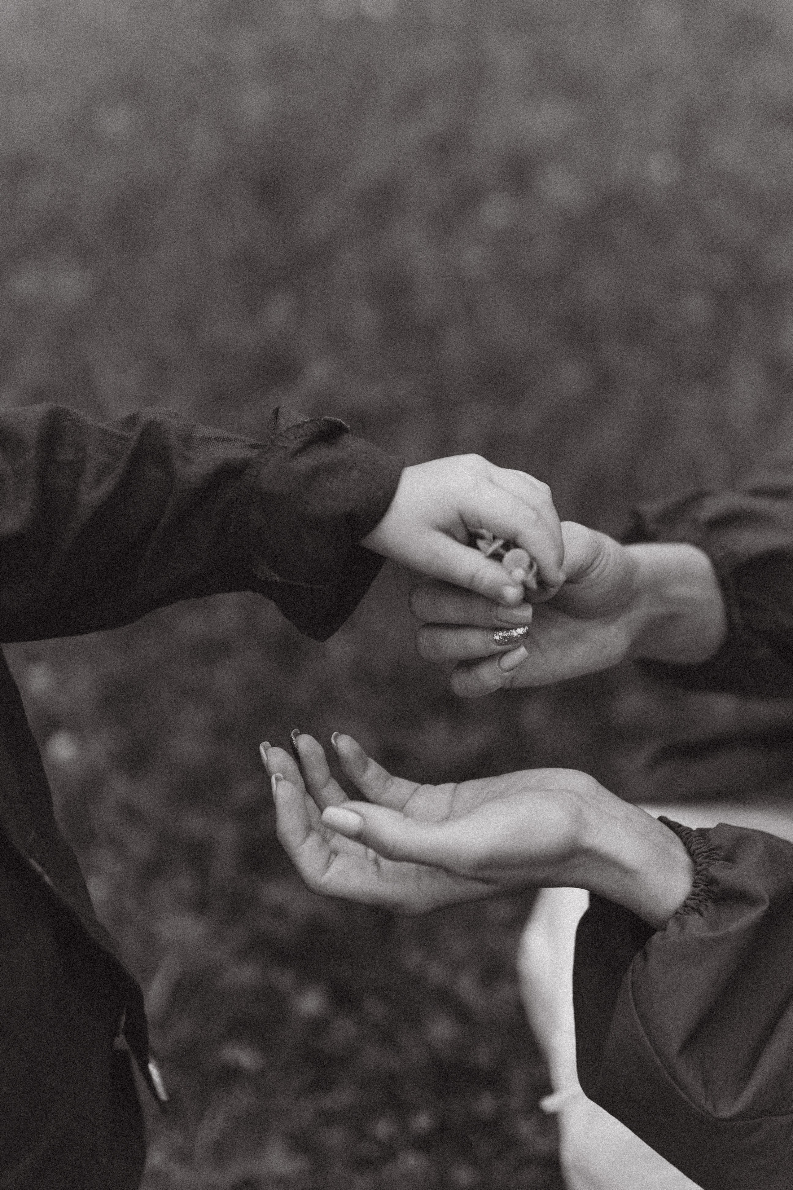 Дарья и Саша. Семейный и свадебный фотограф в Москве и Зеленограде Марина Малярова