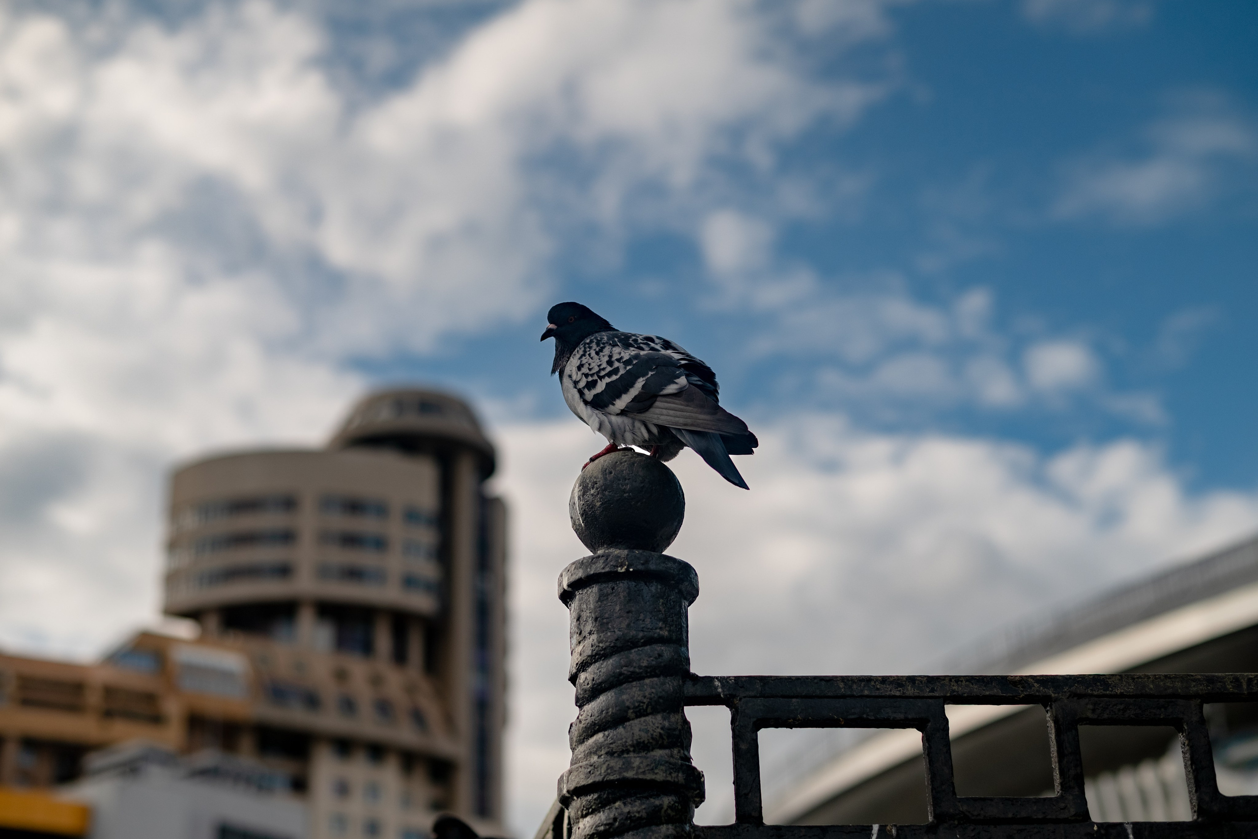 Модно быть свободным. Место {не}банальных фото