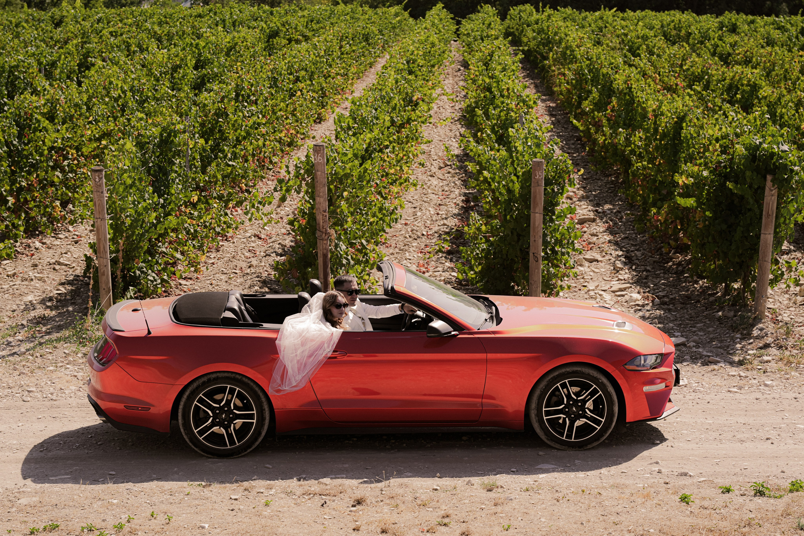 Азамат & Анастасия. Фотограф Новороссийск | Геленджик и ЮФО Эльвина Ясинская