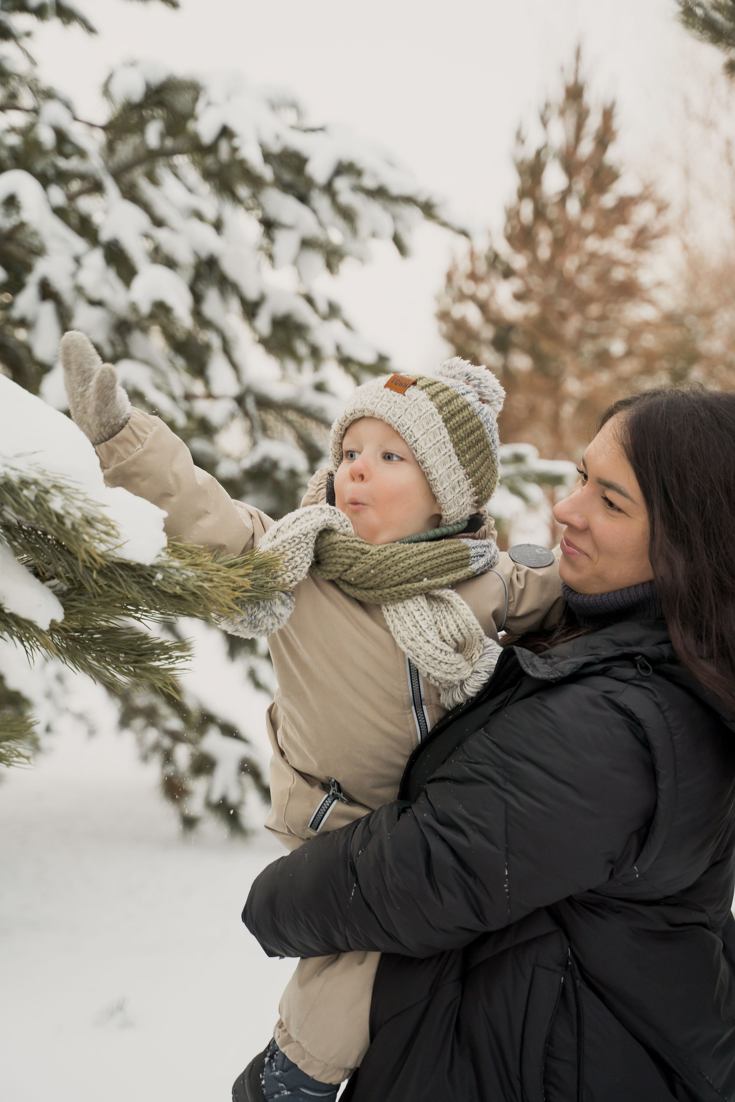 Зимняя прогулка. Главная