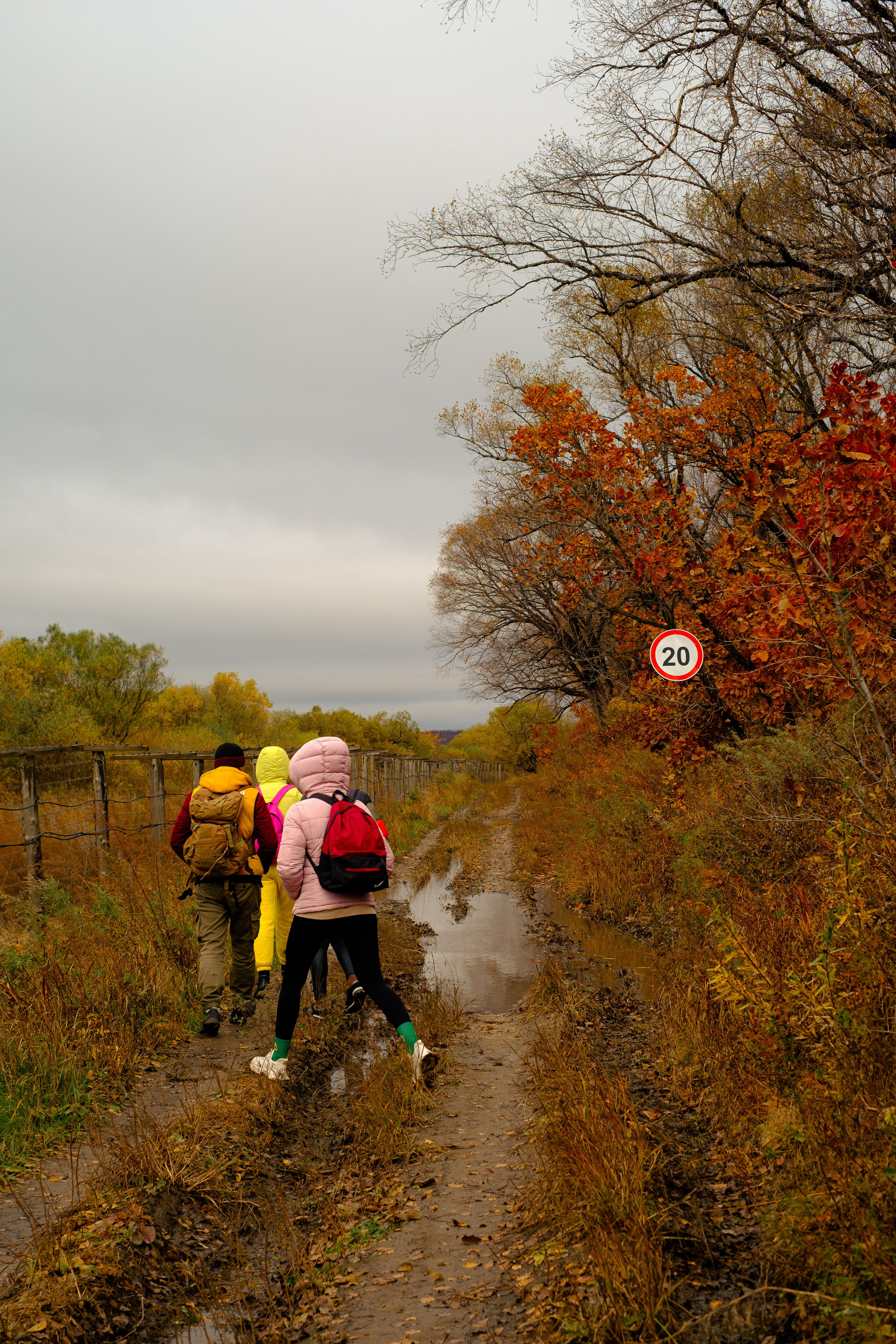 Михайловские столбы осенью. Фотограф Благовещенска Яна