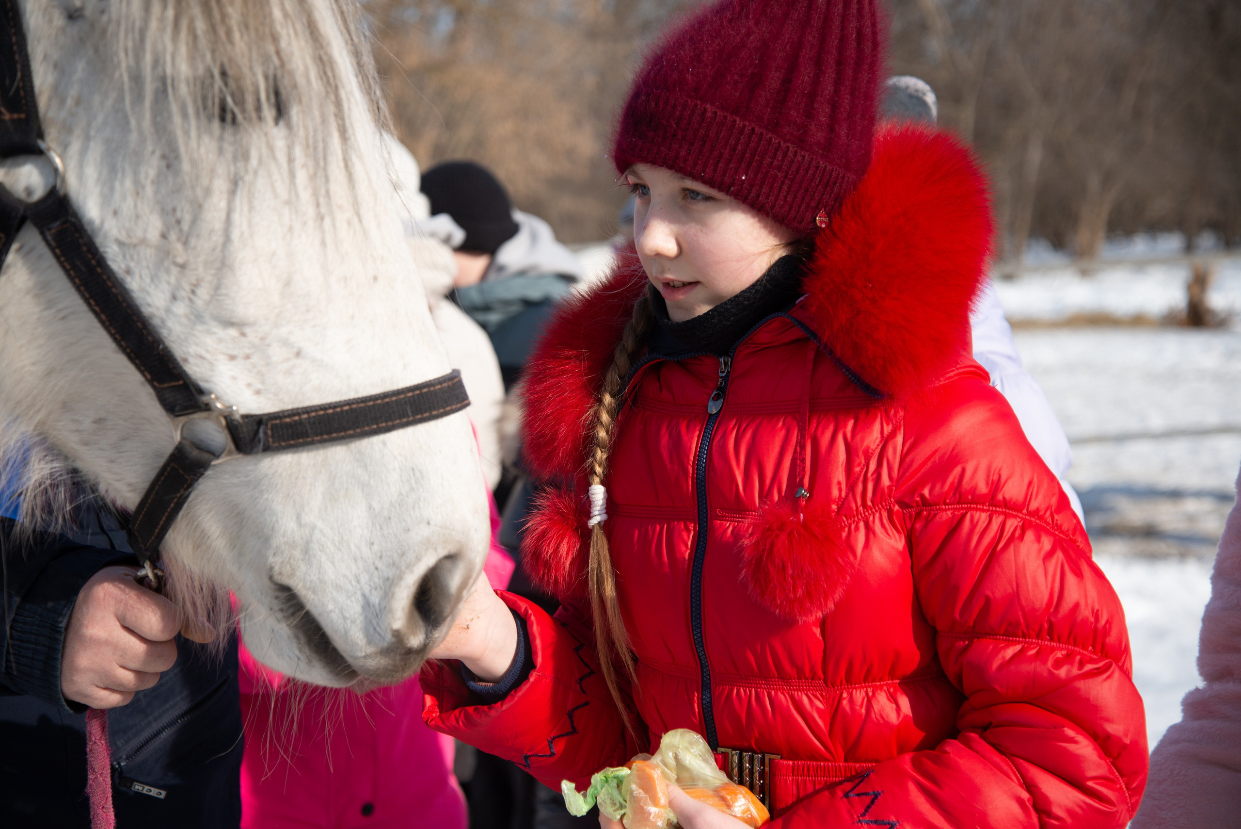 Масленичные гулянья в Боковке. Конный фотограф в Саратове Юлия Иванова
