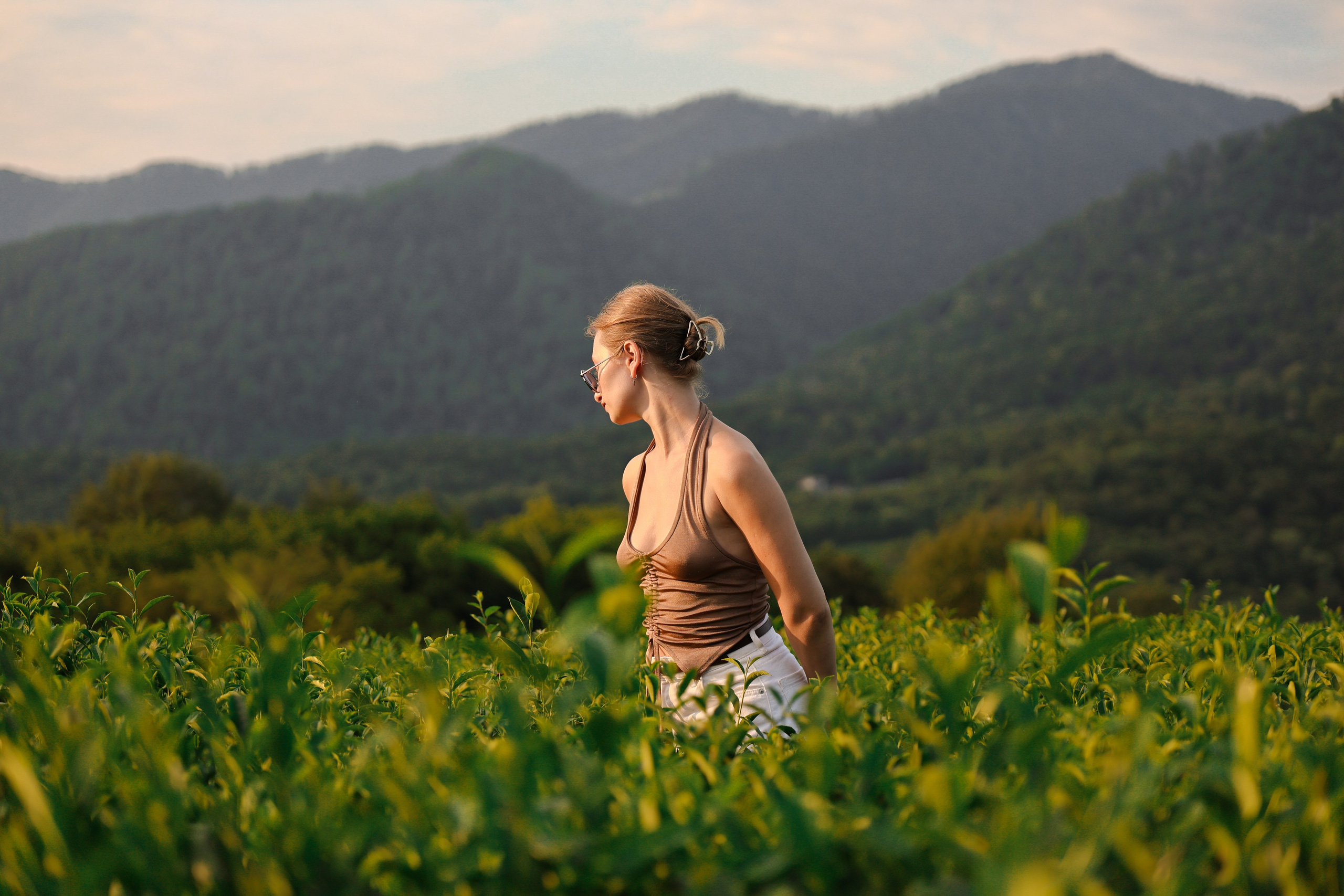ЧАЙНЫЕ ПЛАНТАЦИИ. Фотограф Москва Оля Олбимак