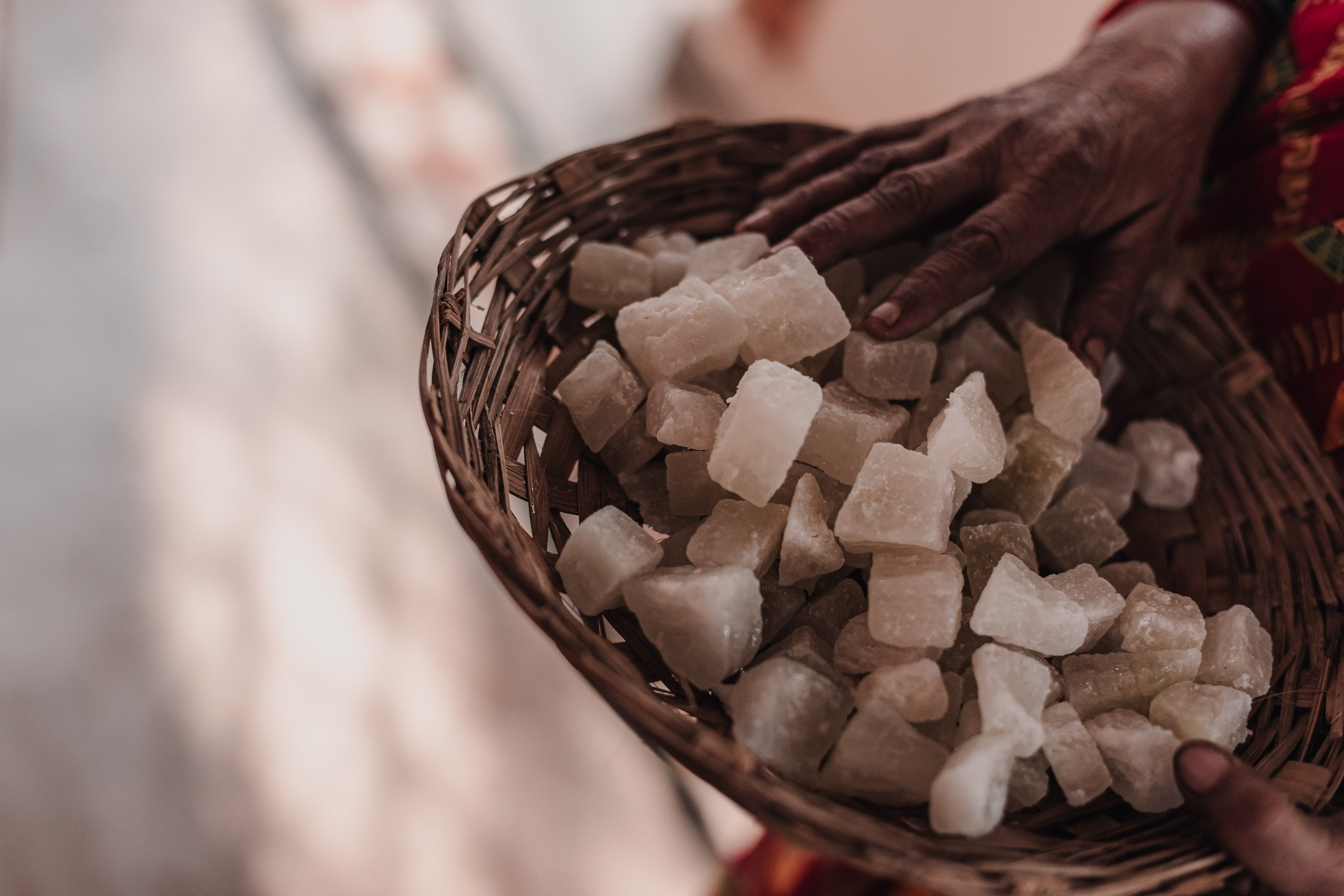 Devraha Baba Ji Ashram in Vrindavan. Мариам Багдасарян