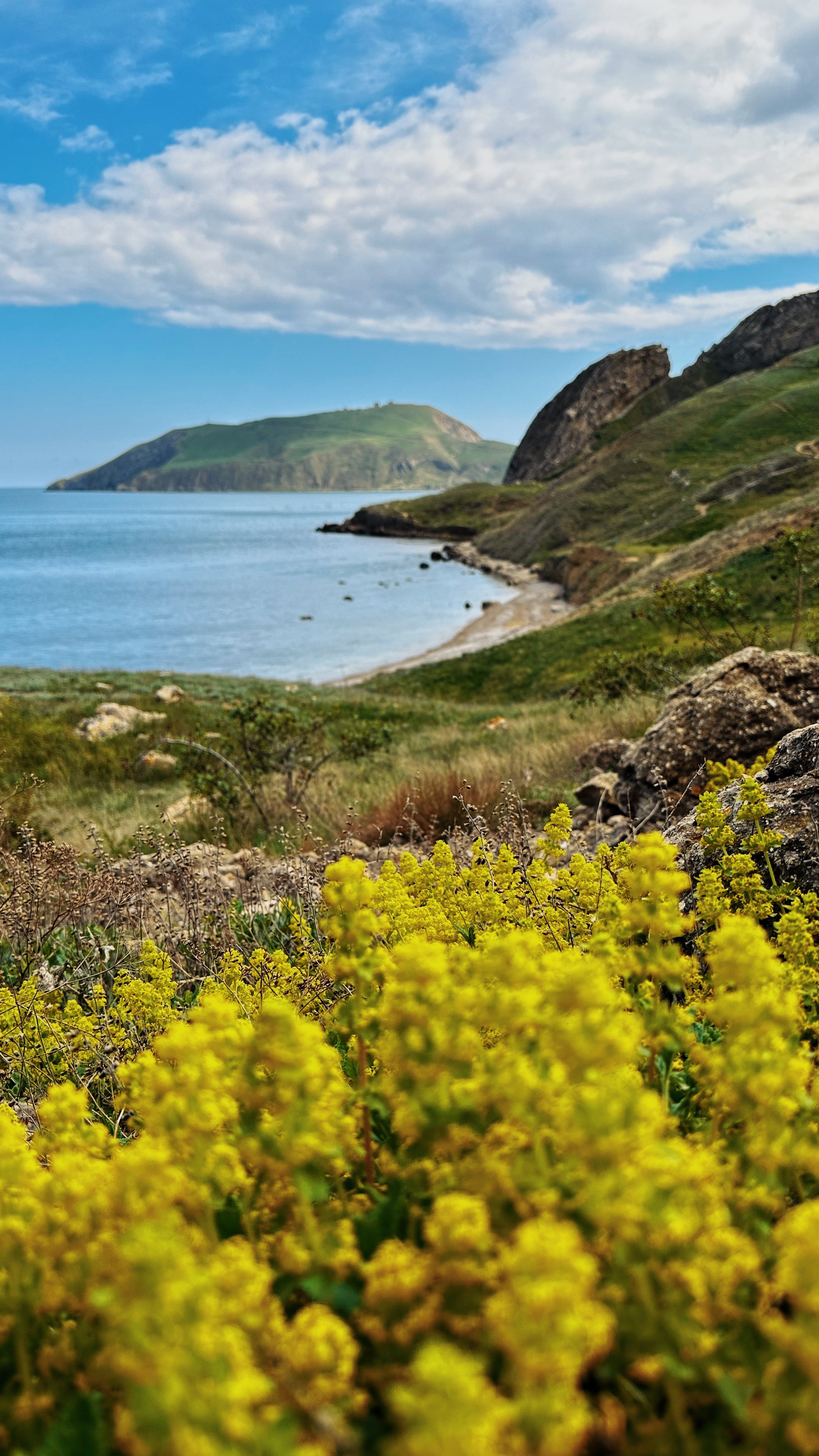 Хочу в Коктебель. Гид и фотограф в Крыму Сергей Соколов