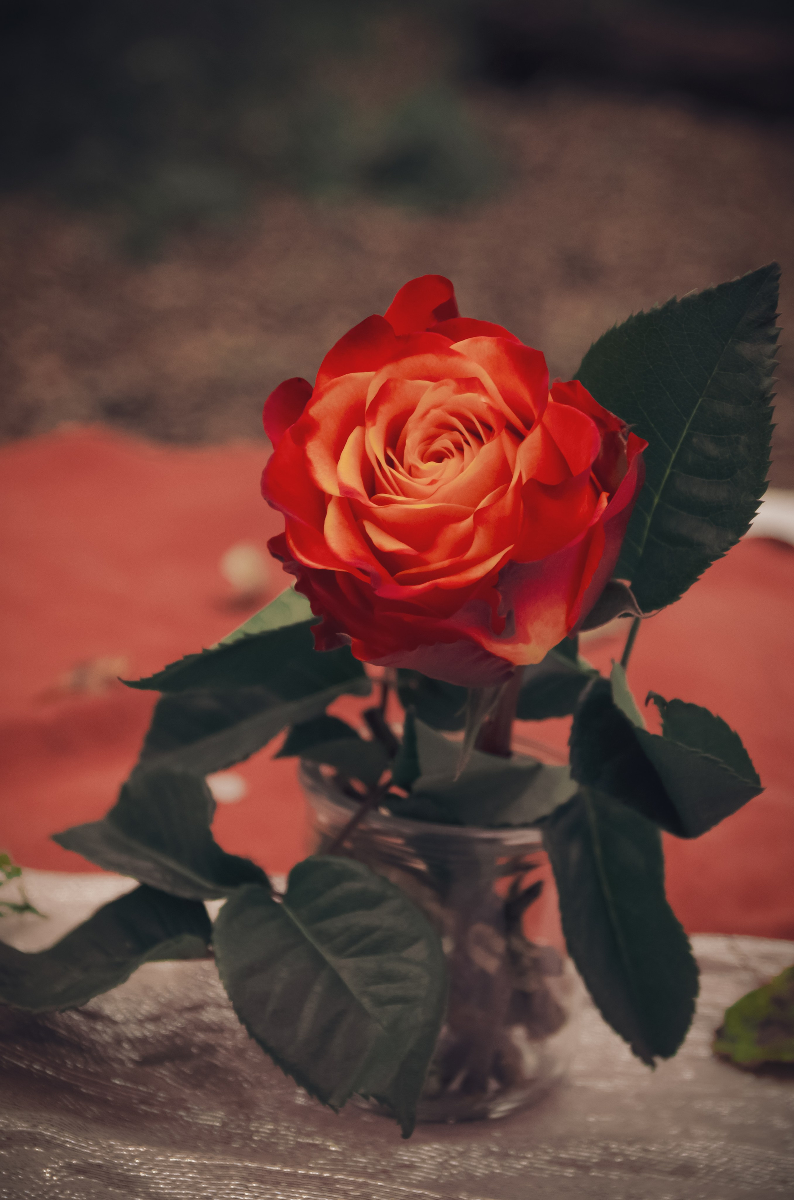 Аудиенция королевы. Фотосессии по мотивам сказок и фильмов — Катерина Исауленко. СПб