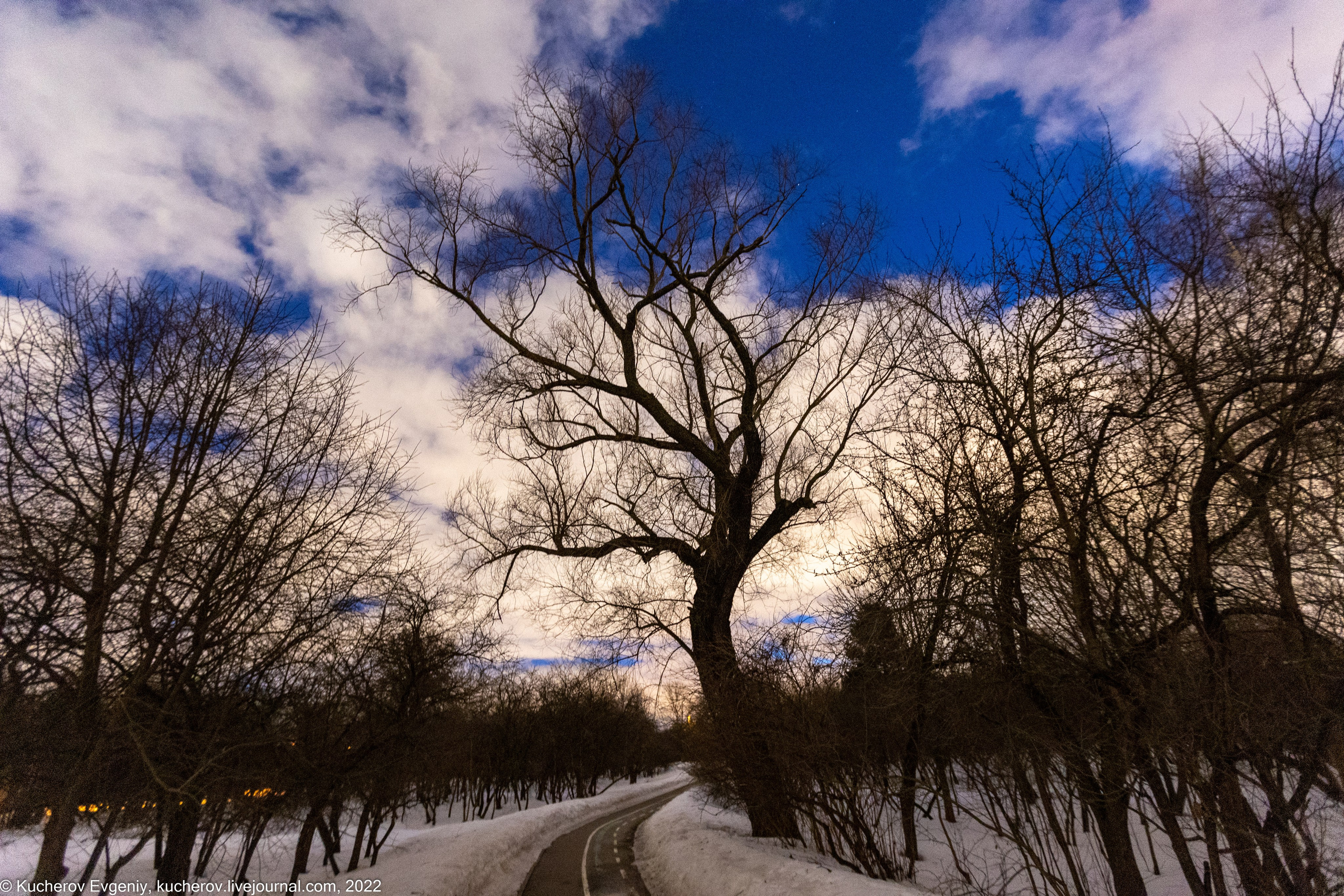 Природа. Кучеров Евгений. Фотограф