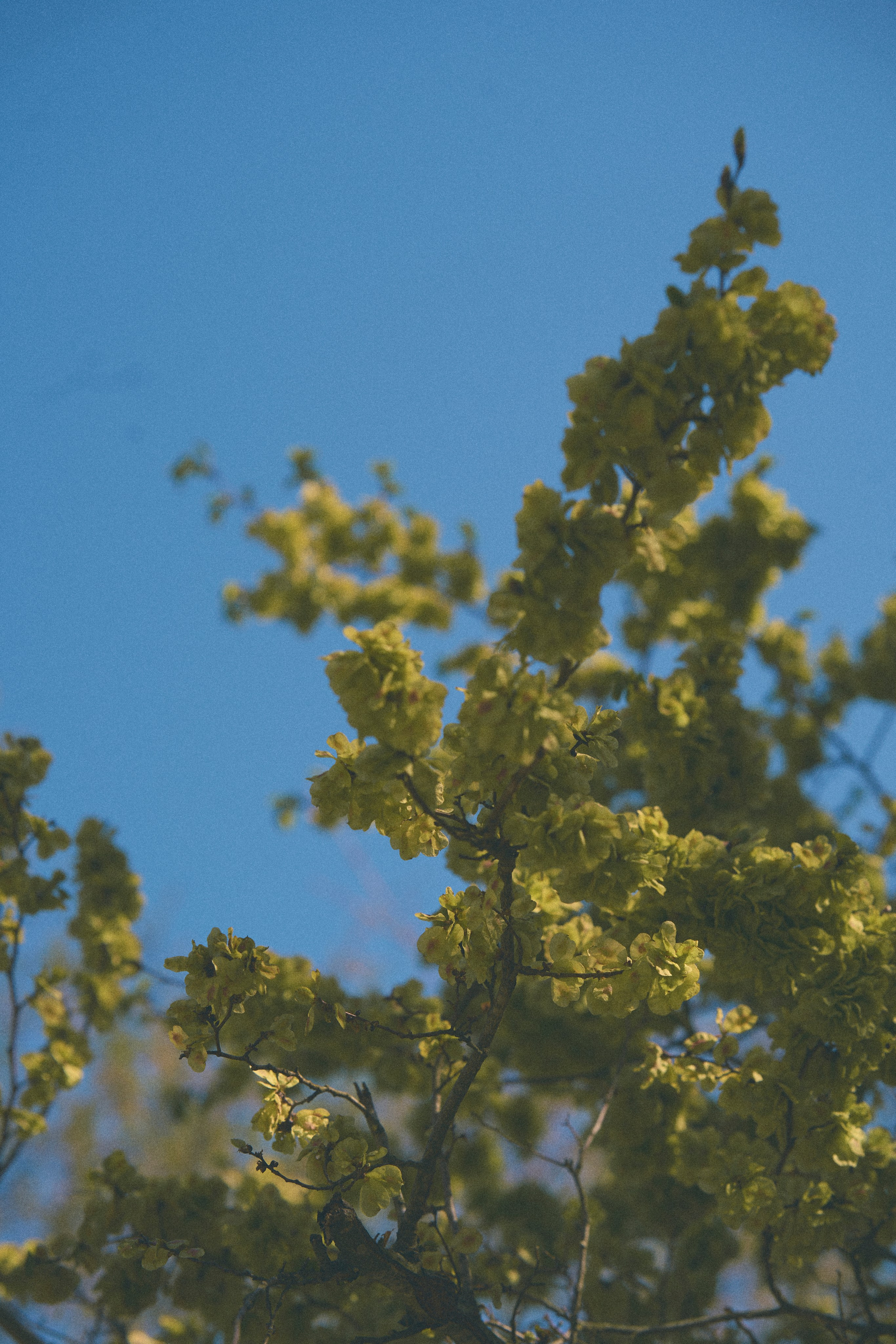 Krasnodar. Гасанова Алина|Фотограф в Санкт-Петербурге