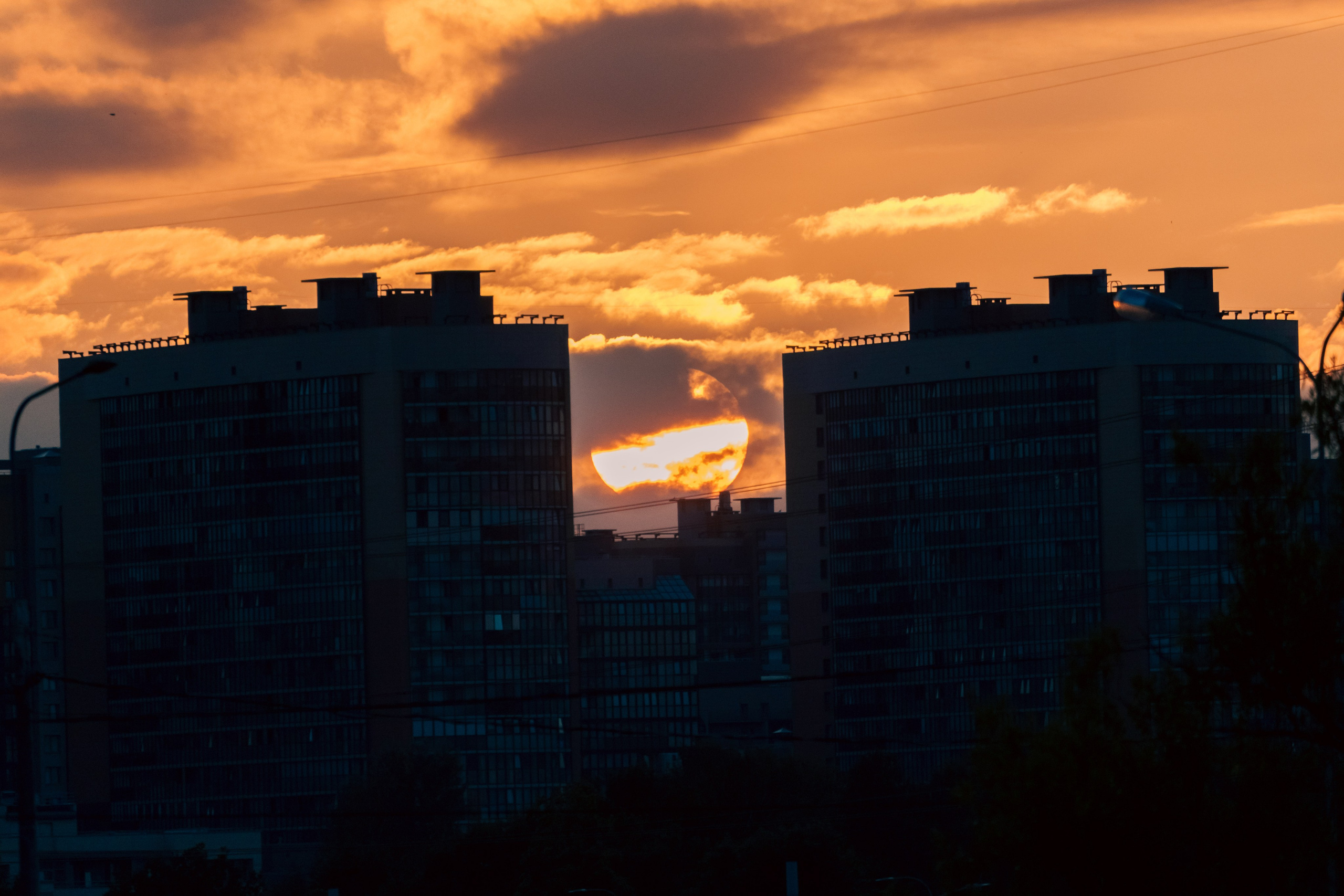 Природа. Фотограф в Санкт-Петербурге Ибрагимова Алина