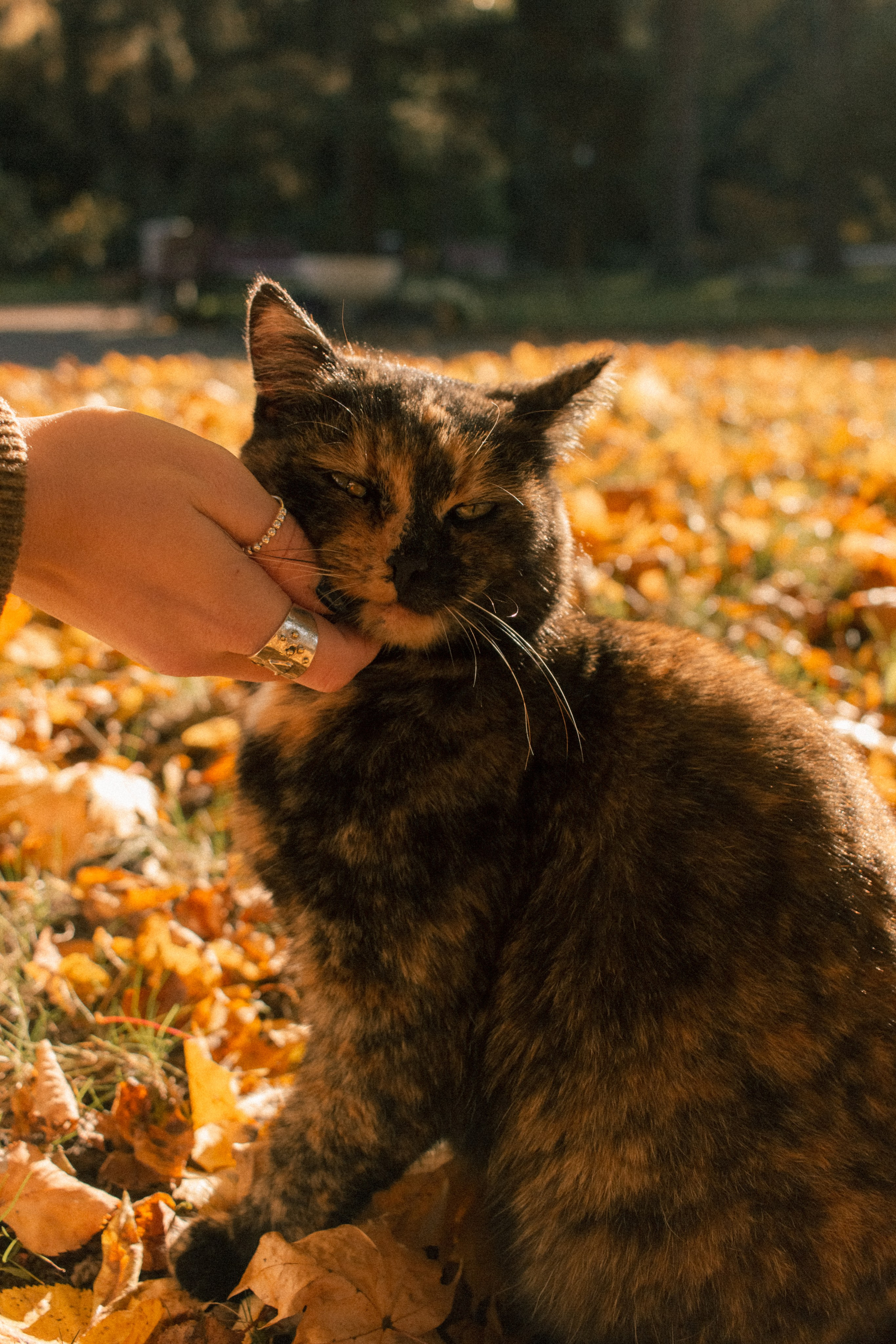 Фотопрогулка в парке Калининград. Портретный фотограф в Калининграде Рита Холодова
