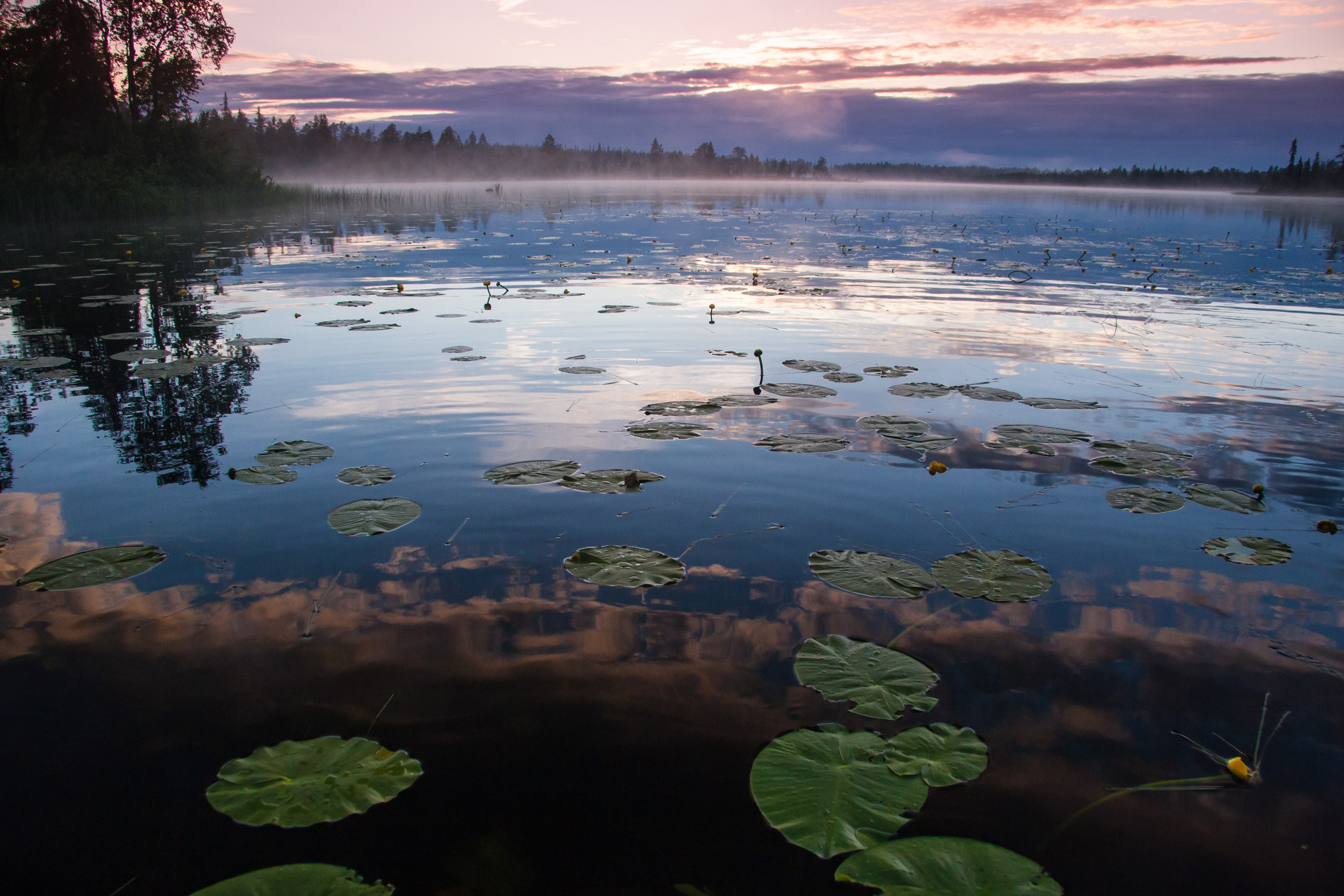 Водоемы. Пейзажи Крайнего Севера. Баренцево море, Рыбачий, Средний, Немецкий