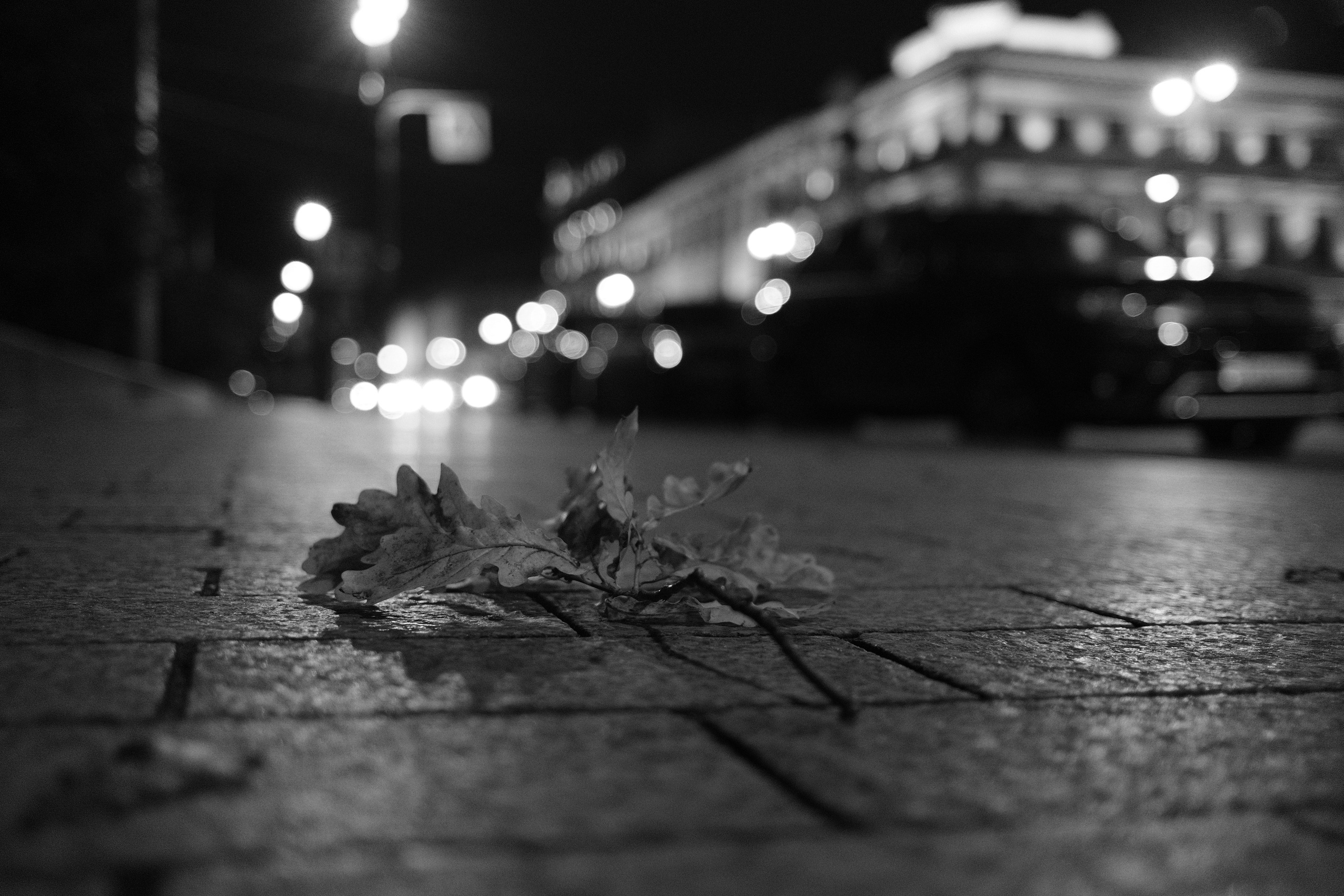 Времена суток. Пейзажи Крайнего Севера. Баренцево море, Рыбачий, Средний, Немецкий