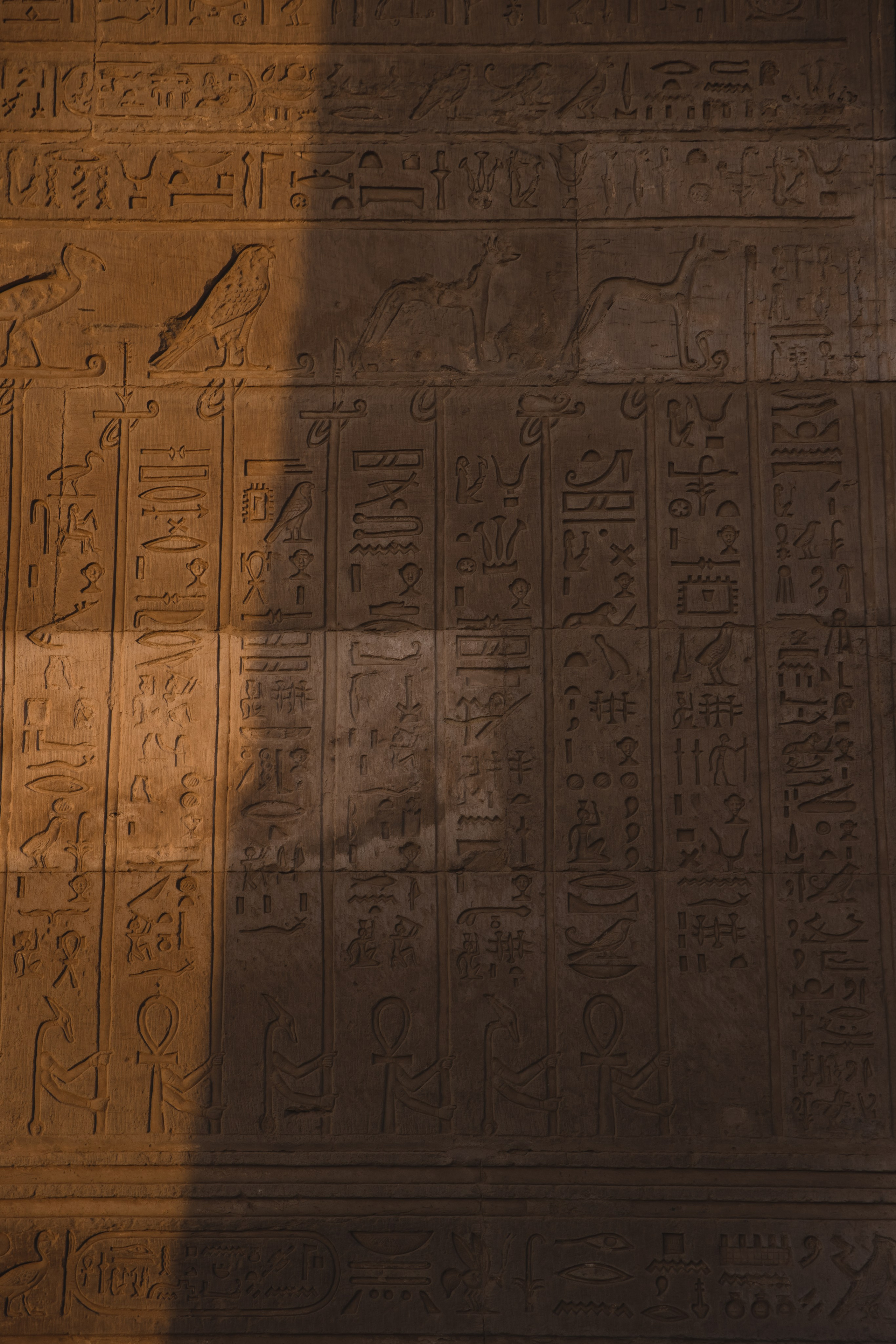 Египет. Женский Ретрит. сентябрь 2023 ФОТО. Профессиональный фотограф Татьяна Евглевская