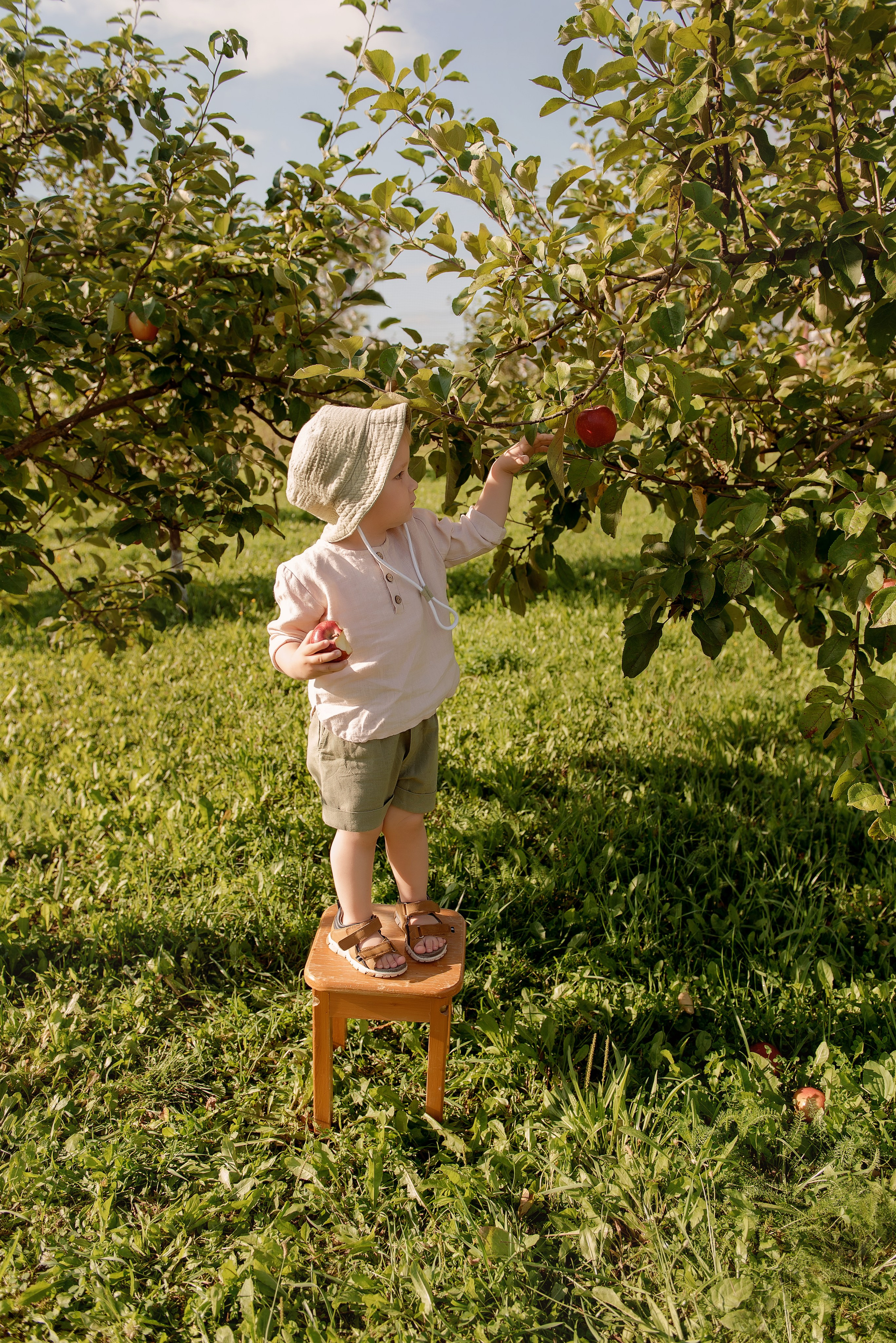 Яблоневый сад. Детский фотограф в Долгопрудном и Москве