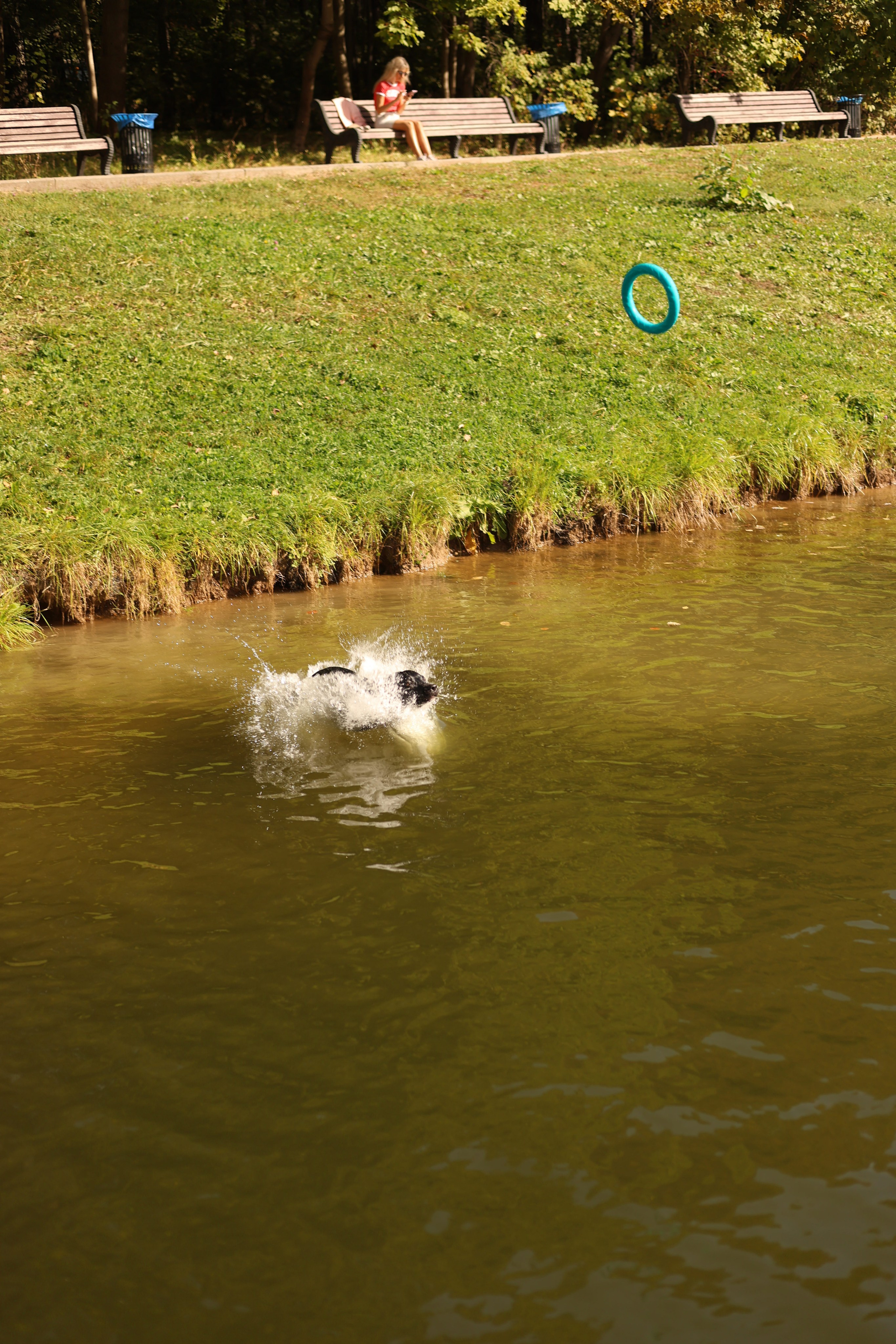 Алена и Бора. Виктория Михайловская. Фотограф-анималист. Москва