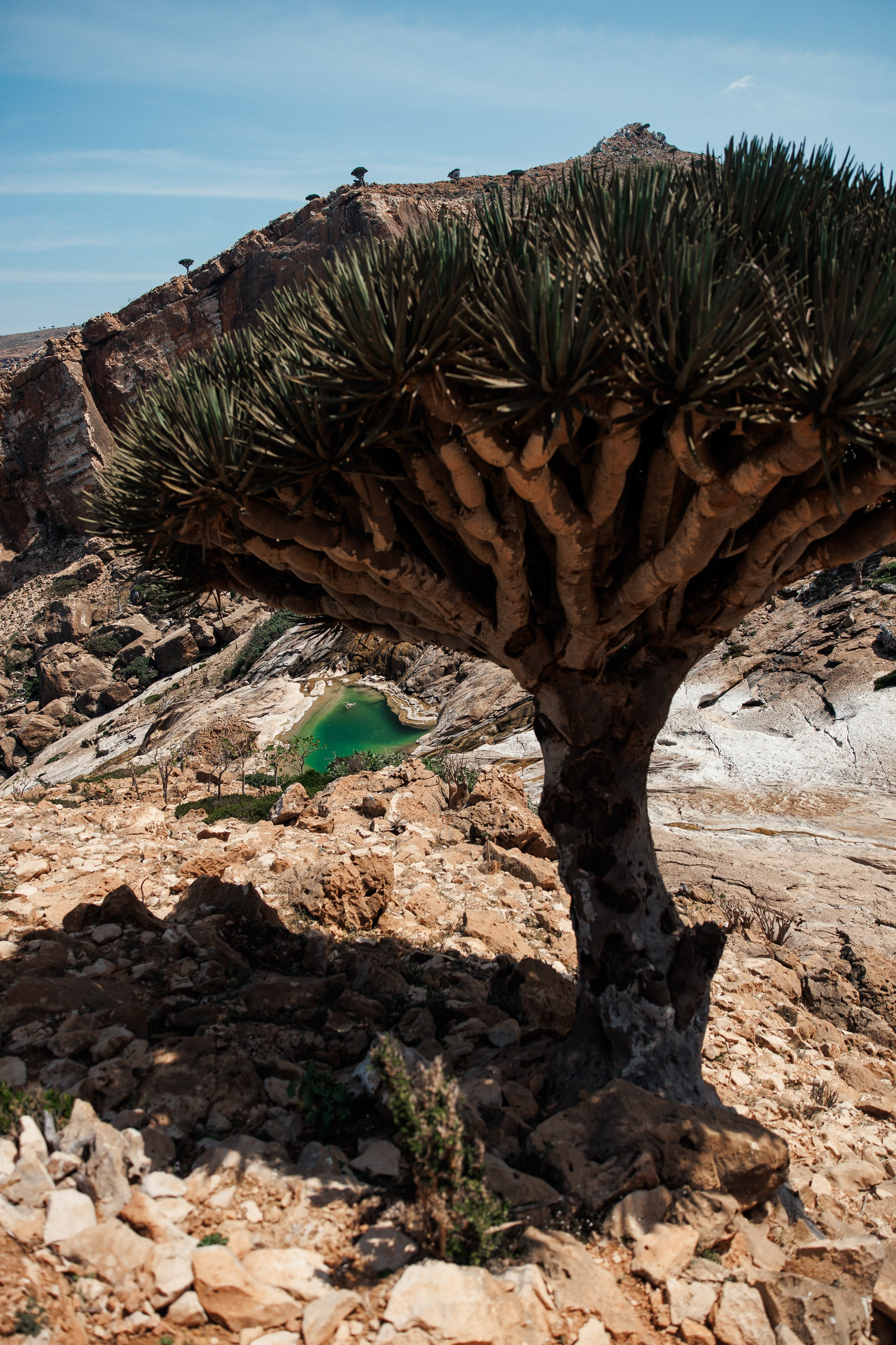 Socotra