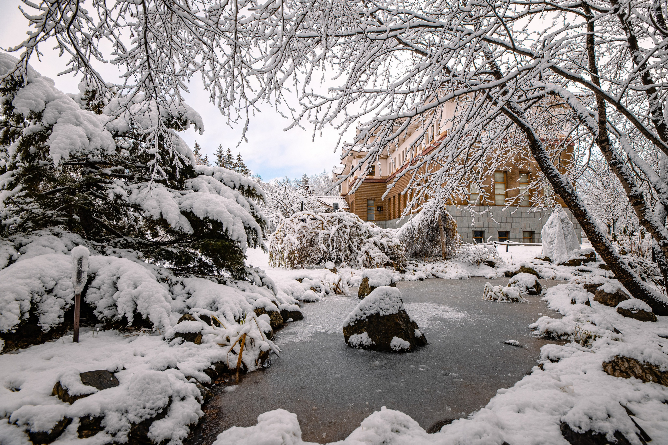 О.Сахалин. Фотограф. г. Южно-Сахалинск. Олег Толстов