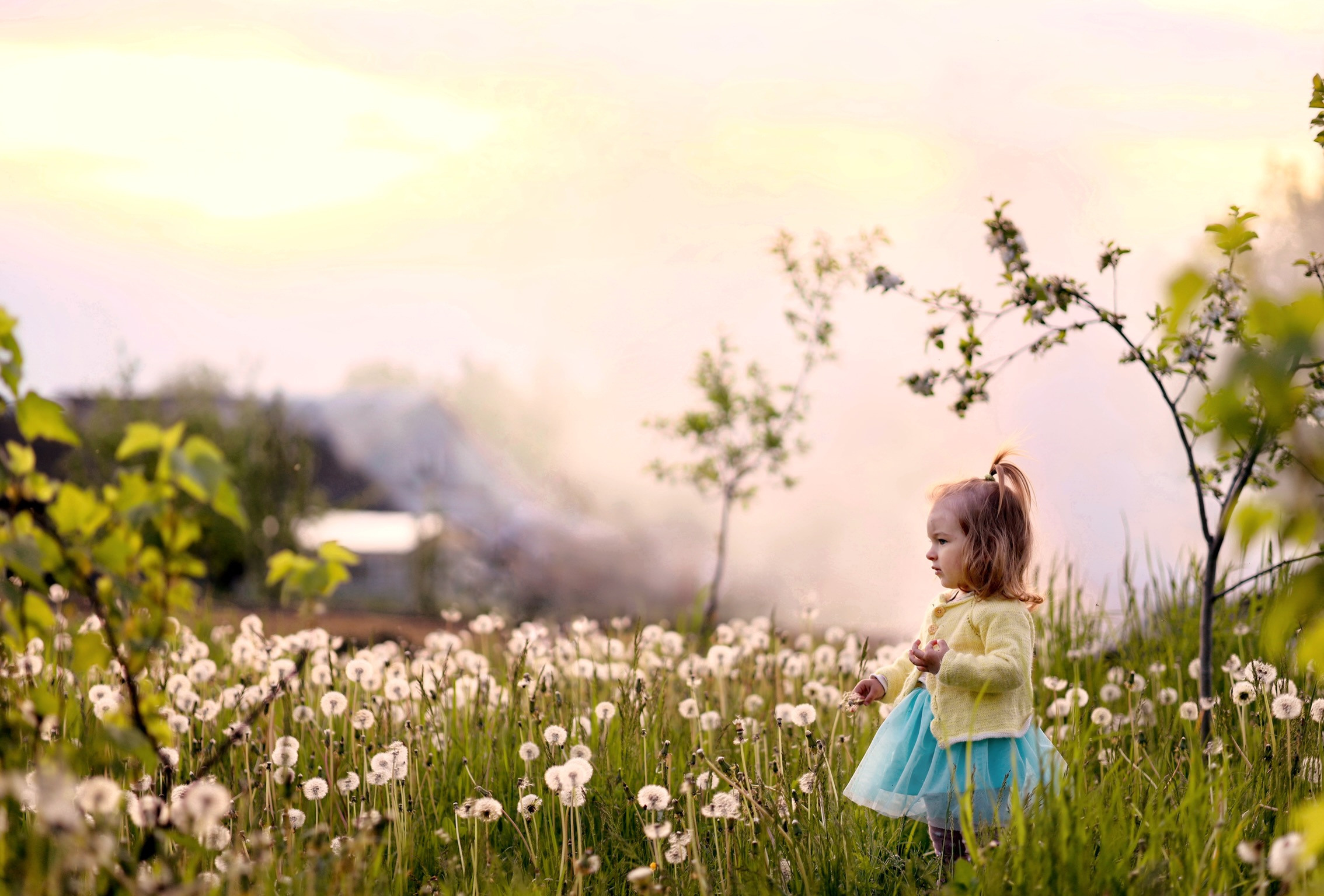 Дети. Семейный и детский фотограф Монахова Екатерина, Москва