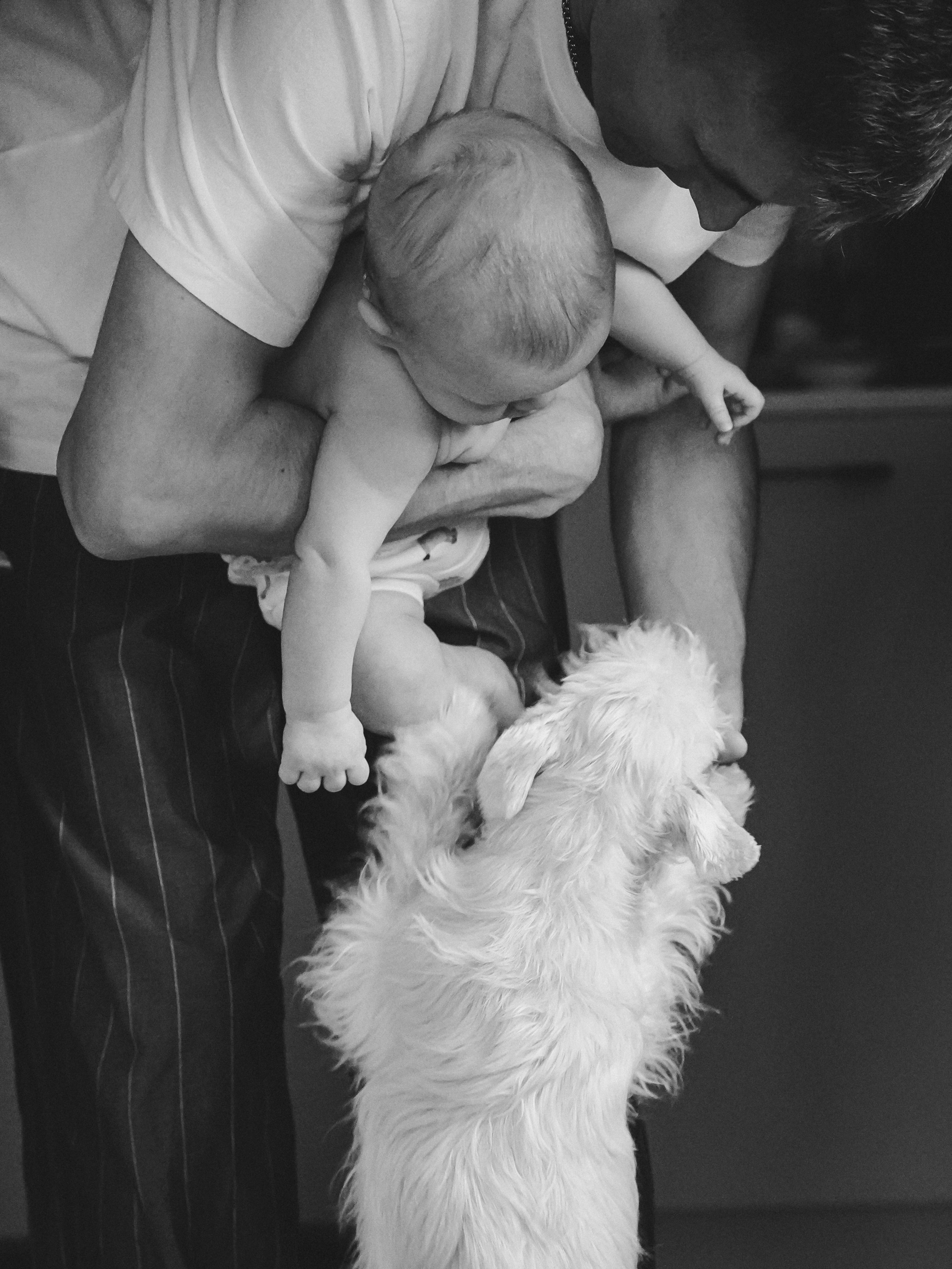 Семейная съемка. АЛЁНА БИРЮКОВА — ЖЕНСКИЙ ФОТОГРАФ, ЙОШКАР-ОЛА