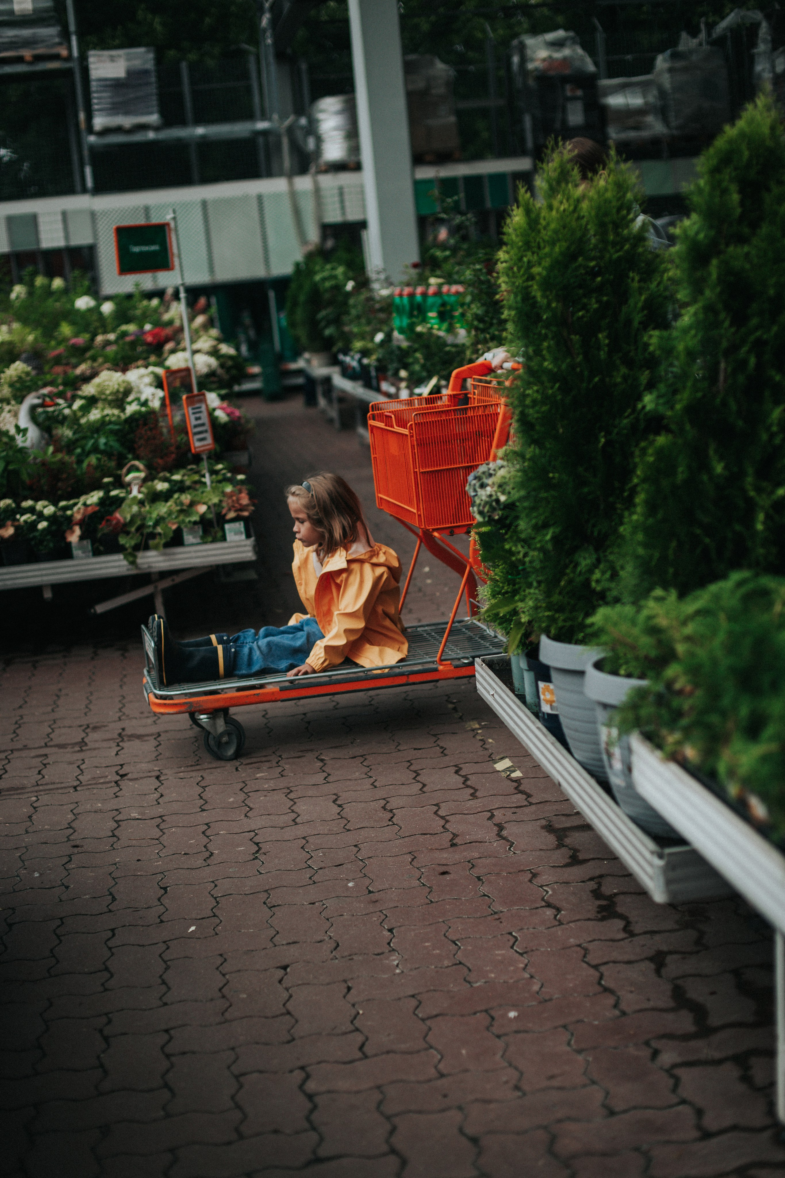 Лена Лисина. Дом + ОБИ. Фотограф в Нижнем Новгороде