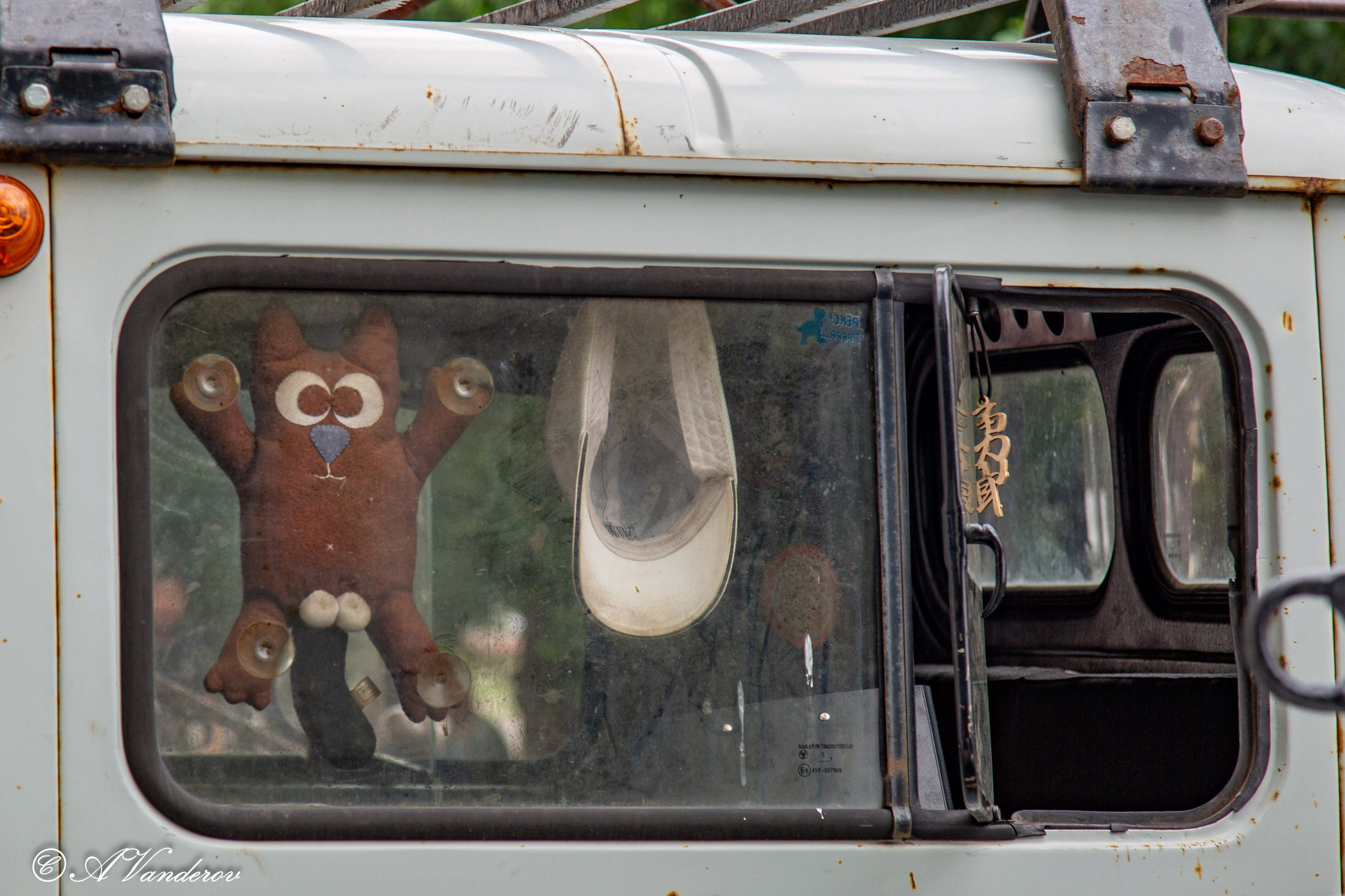 Калачинск 07.07.2024. Фотограф Омск | Александр Вандеров