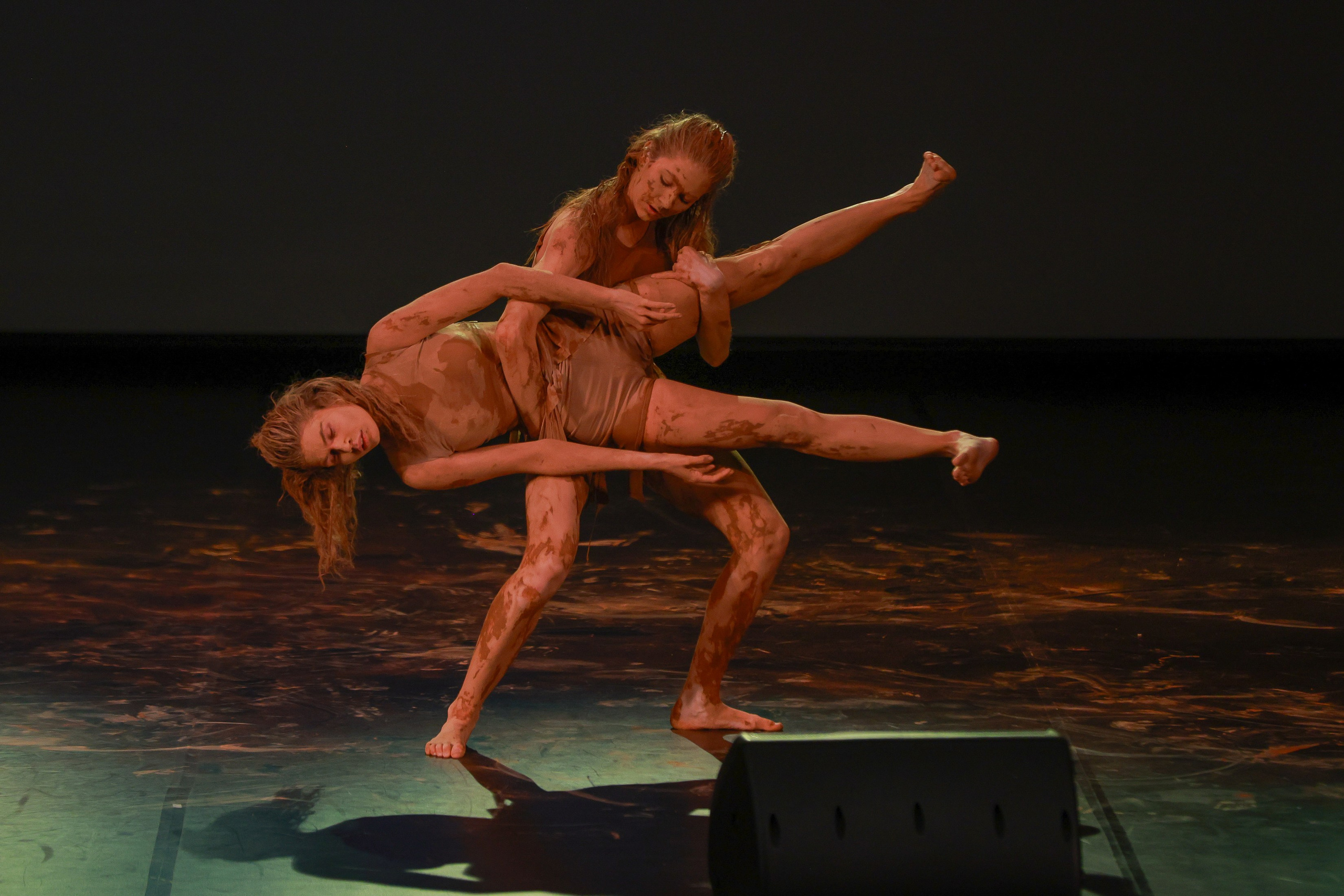 Небесные ласточки на Танц ЭКСПО 2026. Фотограф Юлия Мальцева