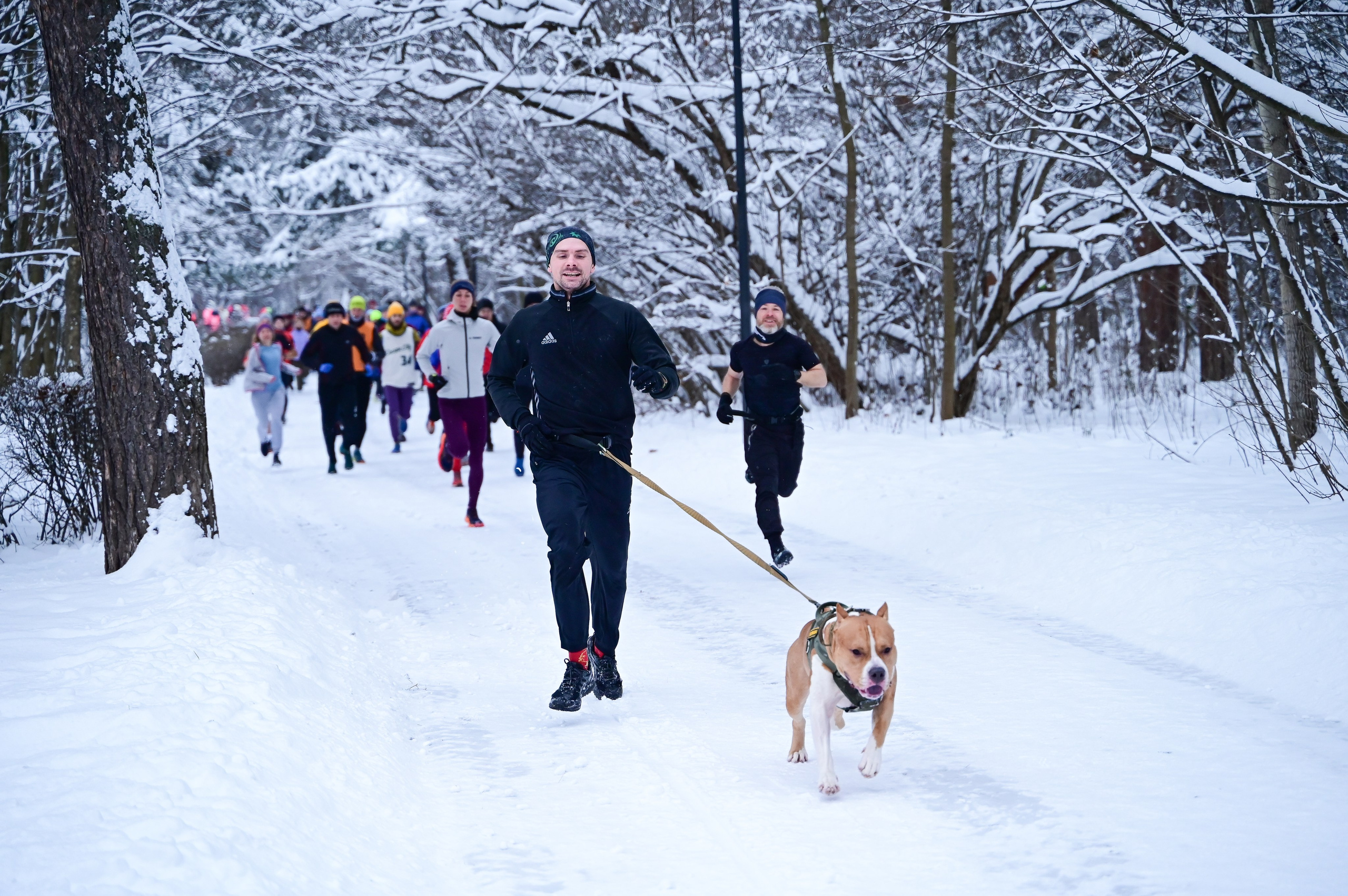 Sat9am5km Кузьминки (25.11.23). Фотограф | Ирина Гамзинова | Москва