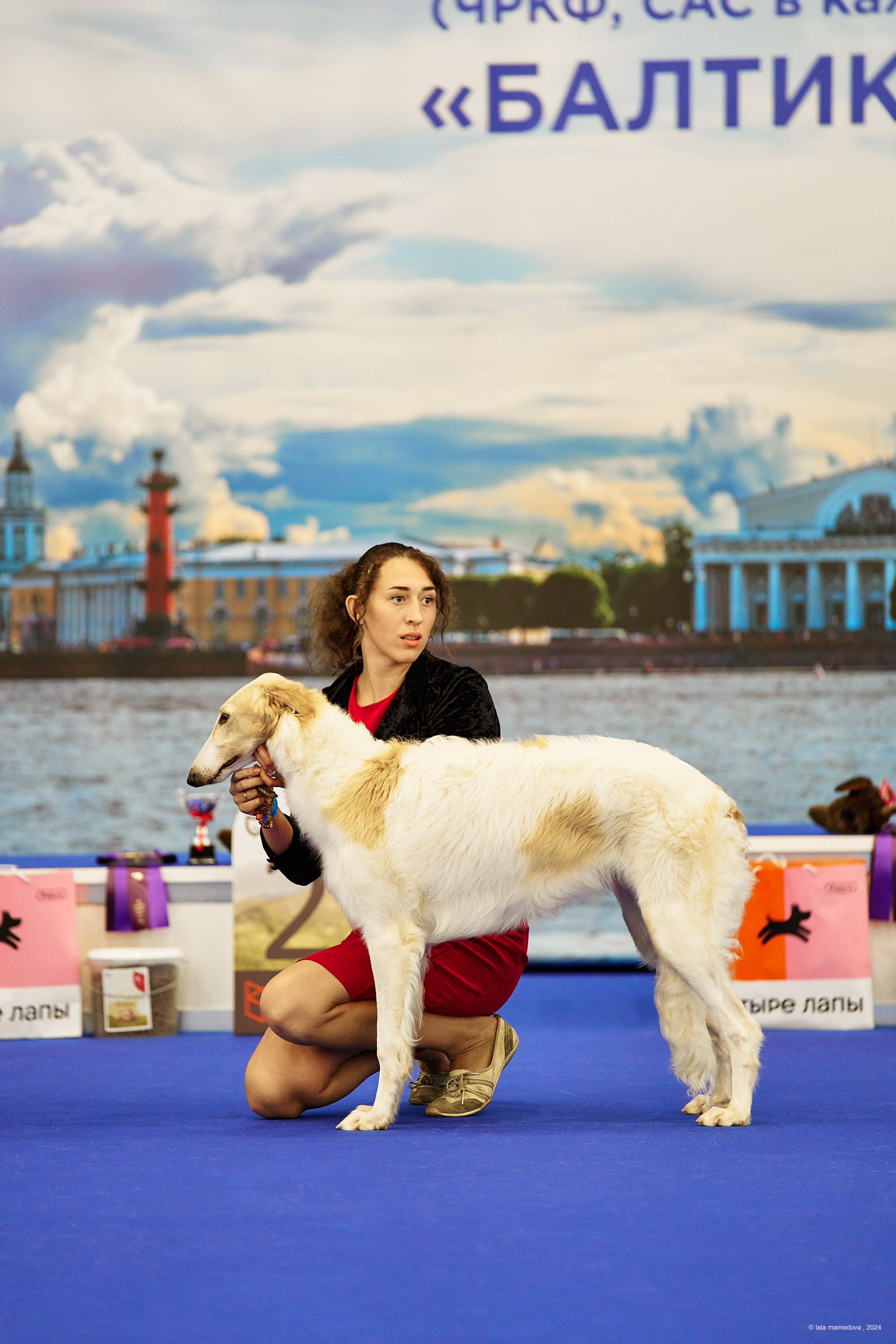 21.07.2024 | «БАЛТИК-ШОУ-2-2024»