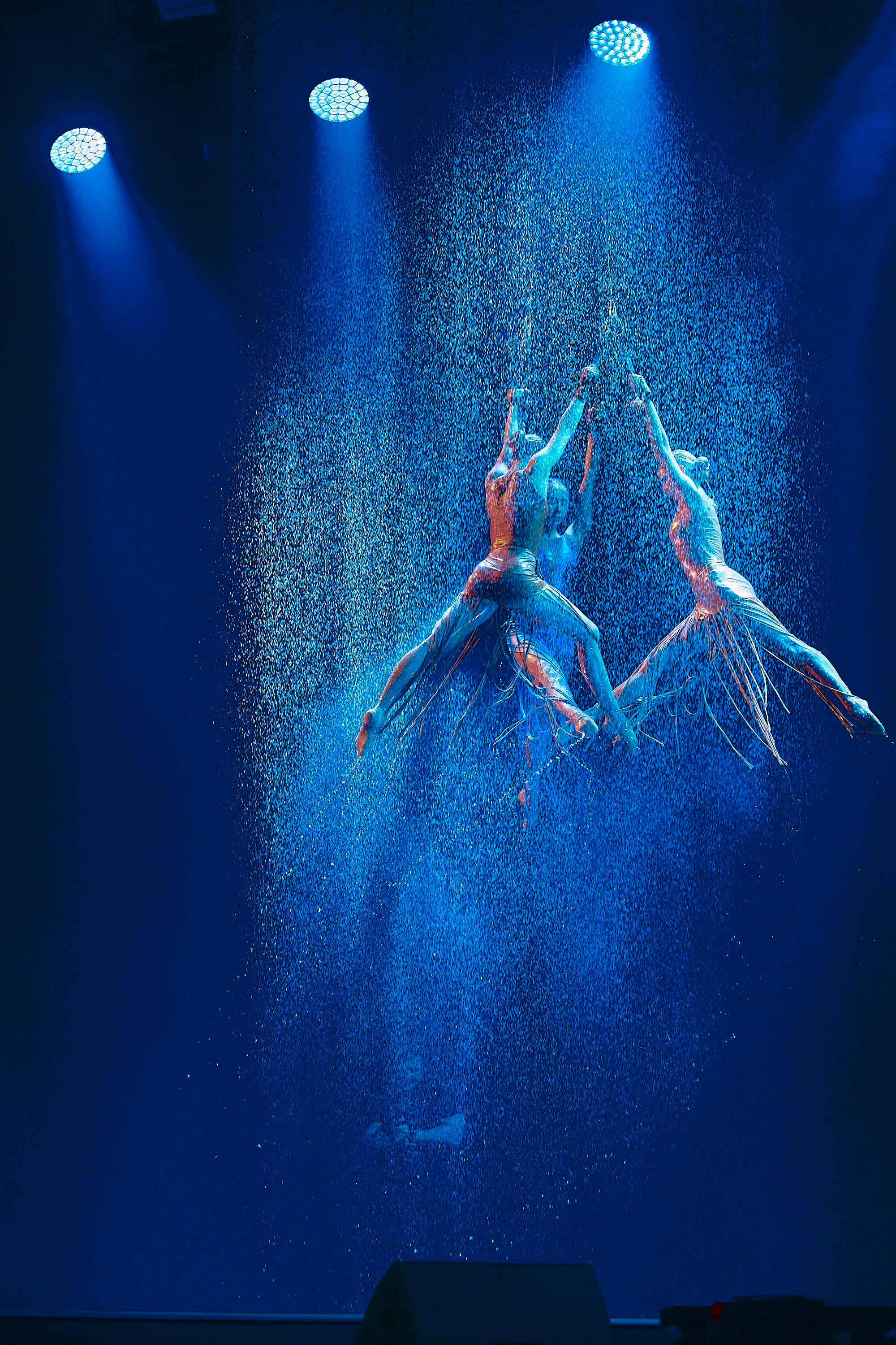 Greenway Global 6 years. Cheeelsa.ru