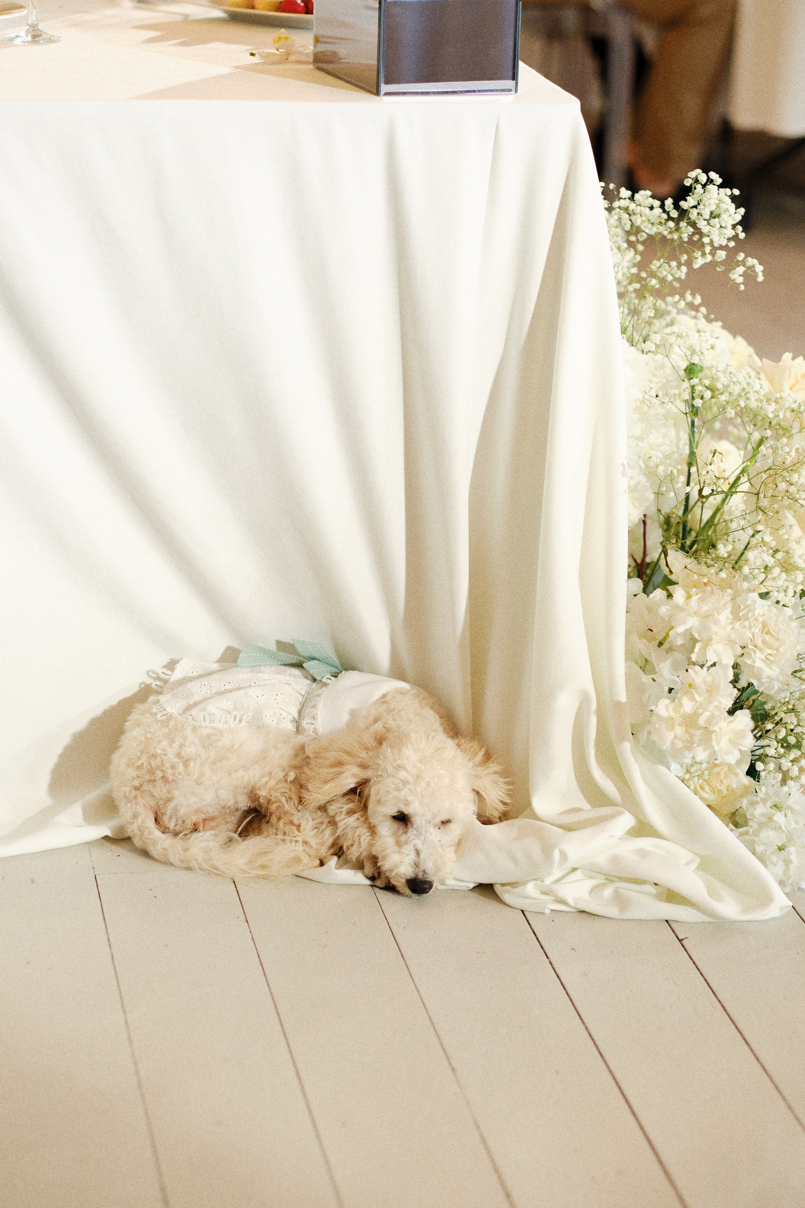 Nastya and Nikolay. Портретный и репортажный фотограф в Москве Острикова Анастасия