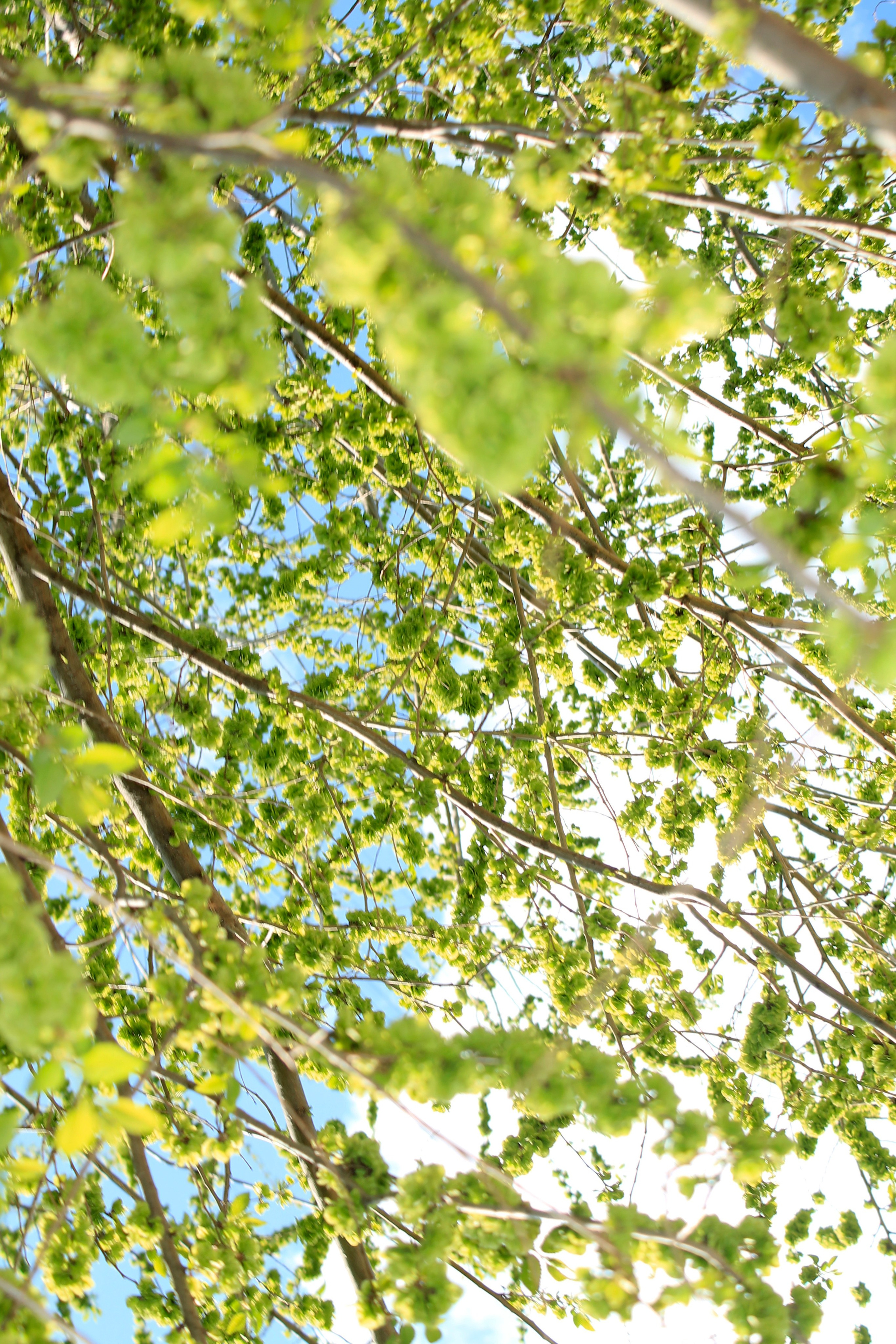 Мои первые работы. Фотограф из Москвы — DASHA NOVA | Авторская фотография в разных жанрах