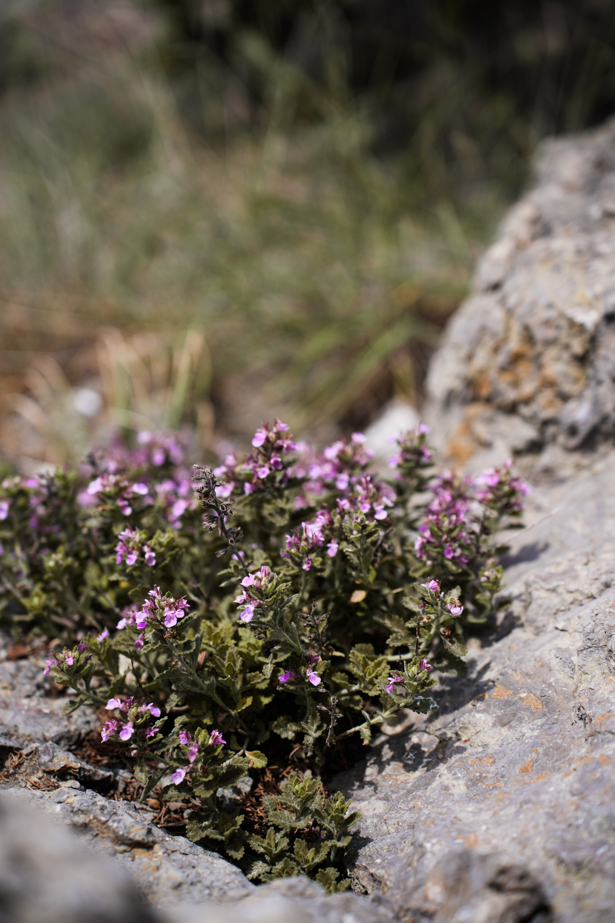 Крым. Анна Жукова — Режиссёр кино и цирка, сценарист, фотограф