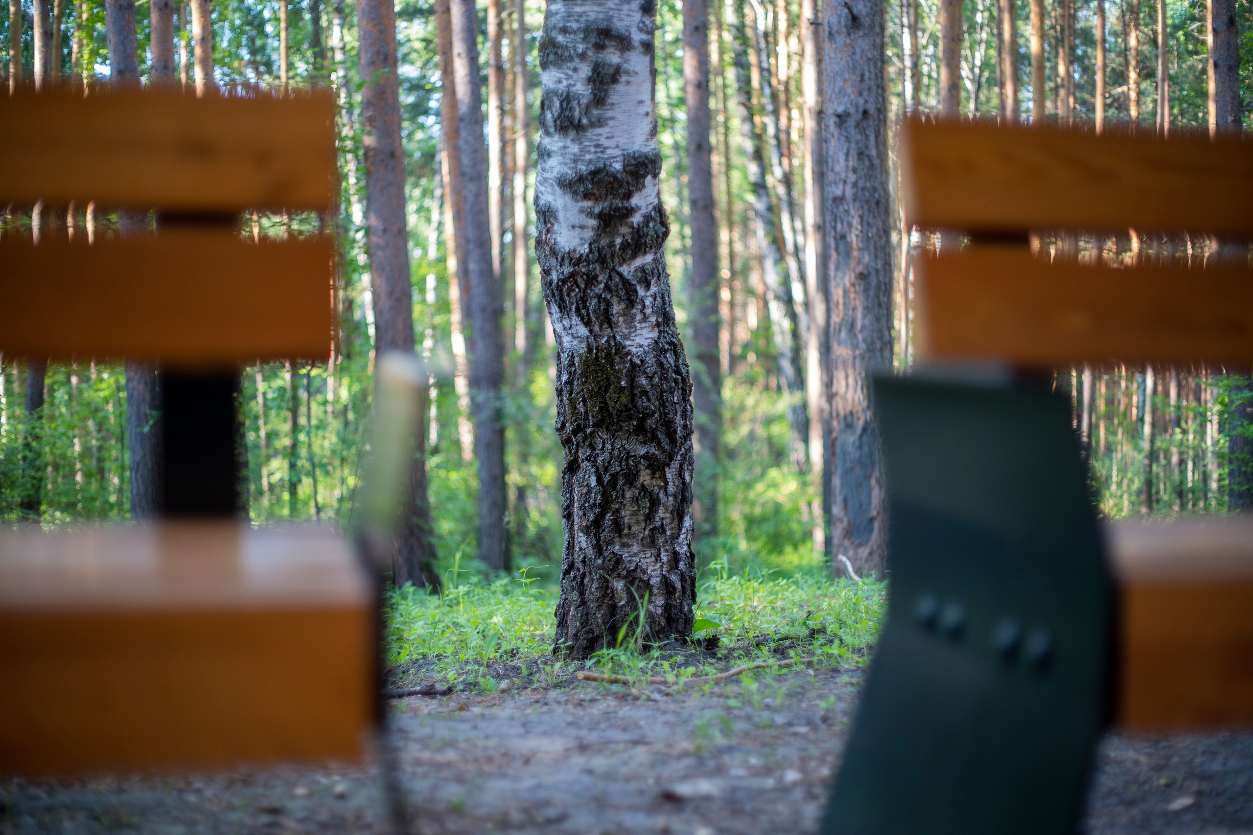 Города. Василий Буйлов|Vasilii Builov