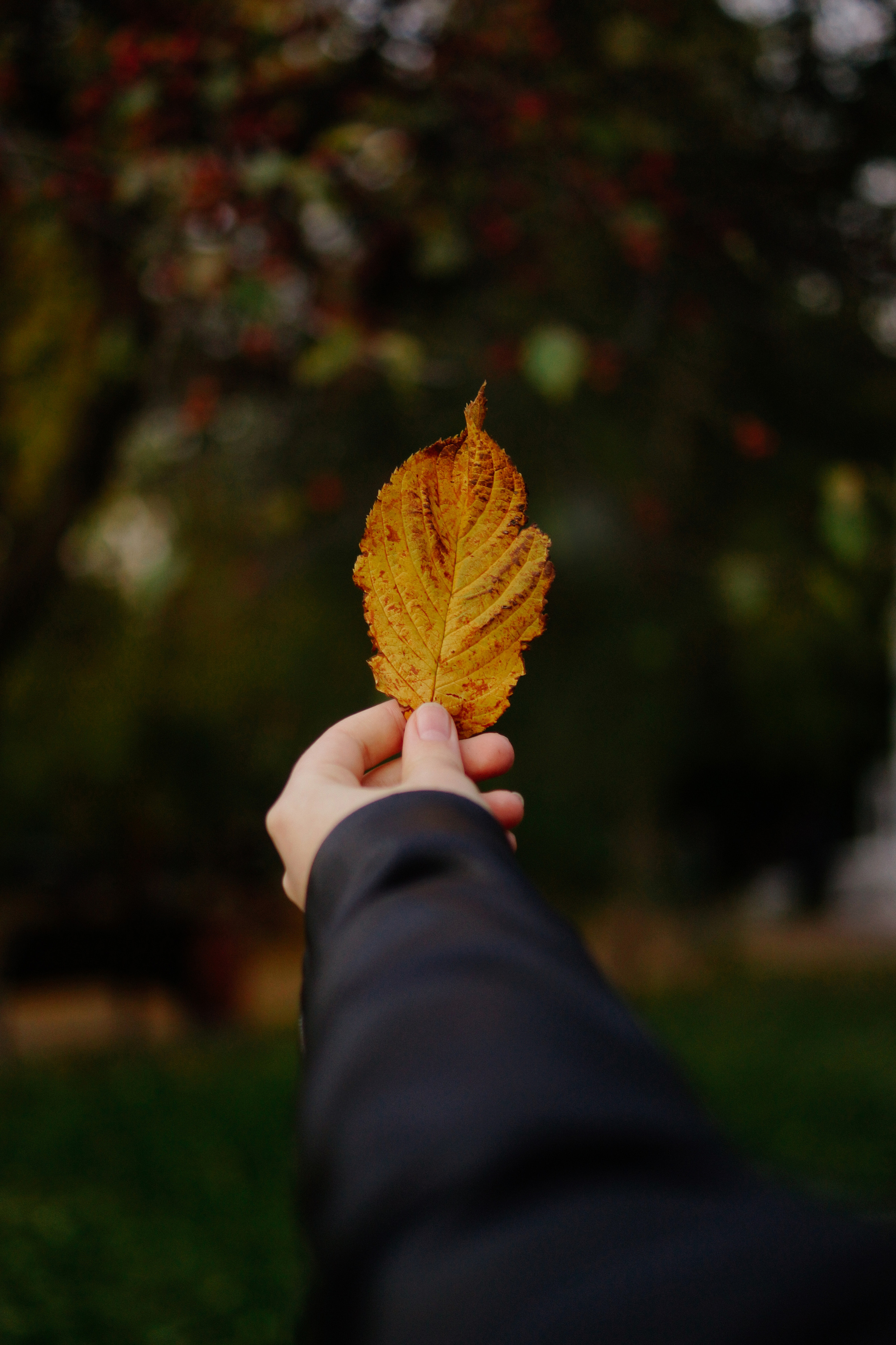 Осенний закат. Maria Karzhak ваш фотограф в Батуми!