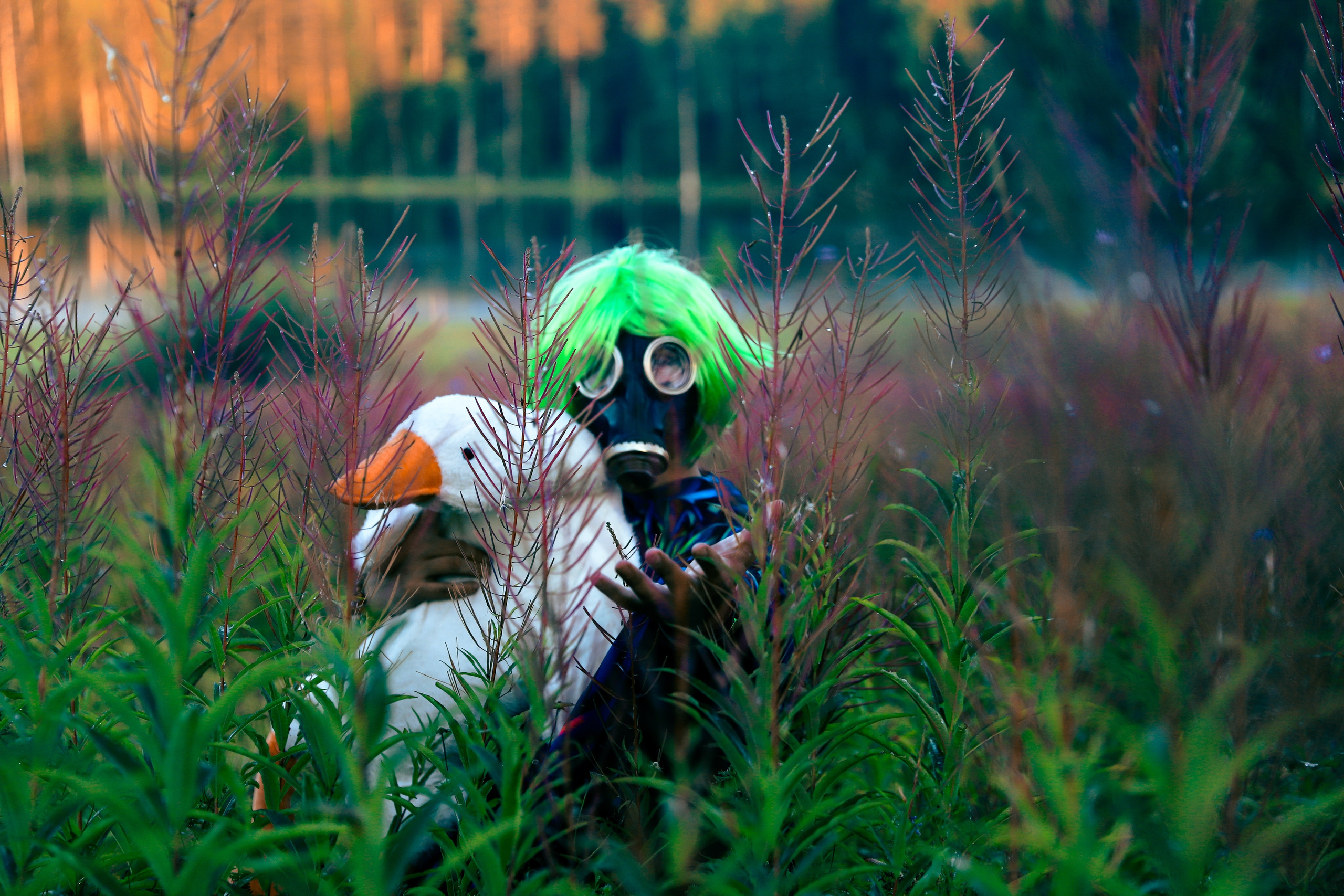 Фестиваль Жива