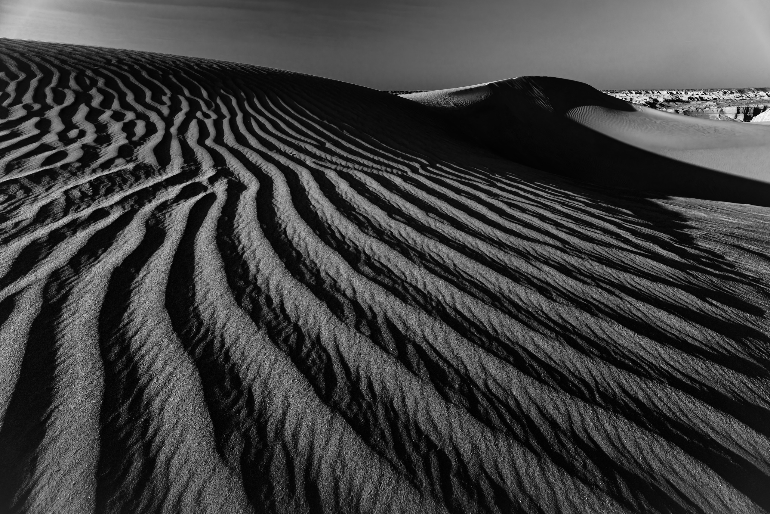 Экспедиция в Монголию (Гоби). Семоха Валерий. Фотограф