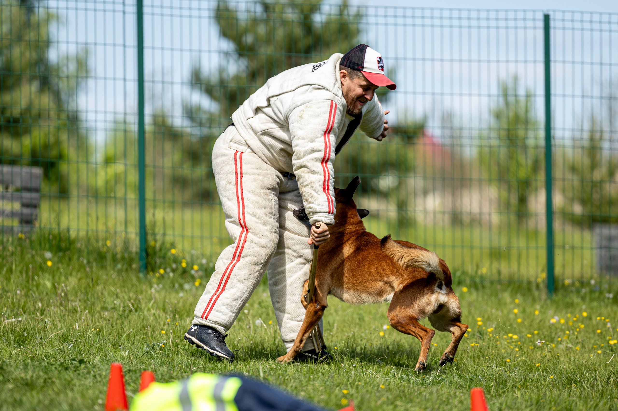 Испытания по мондьорингу в Нижнем Новгороде. Фотограф-анималист Анна Маринич