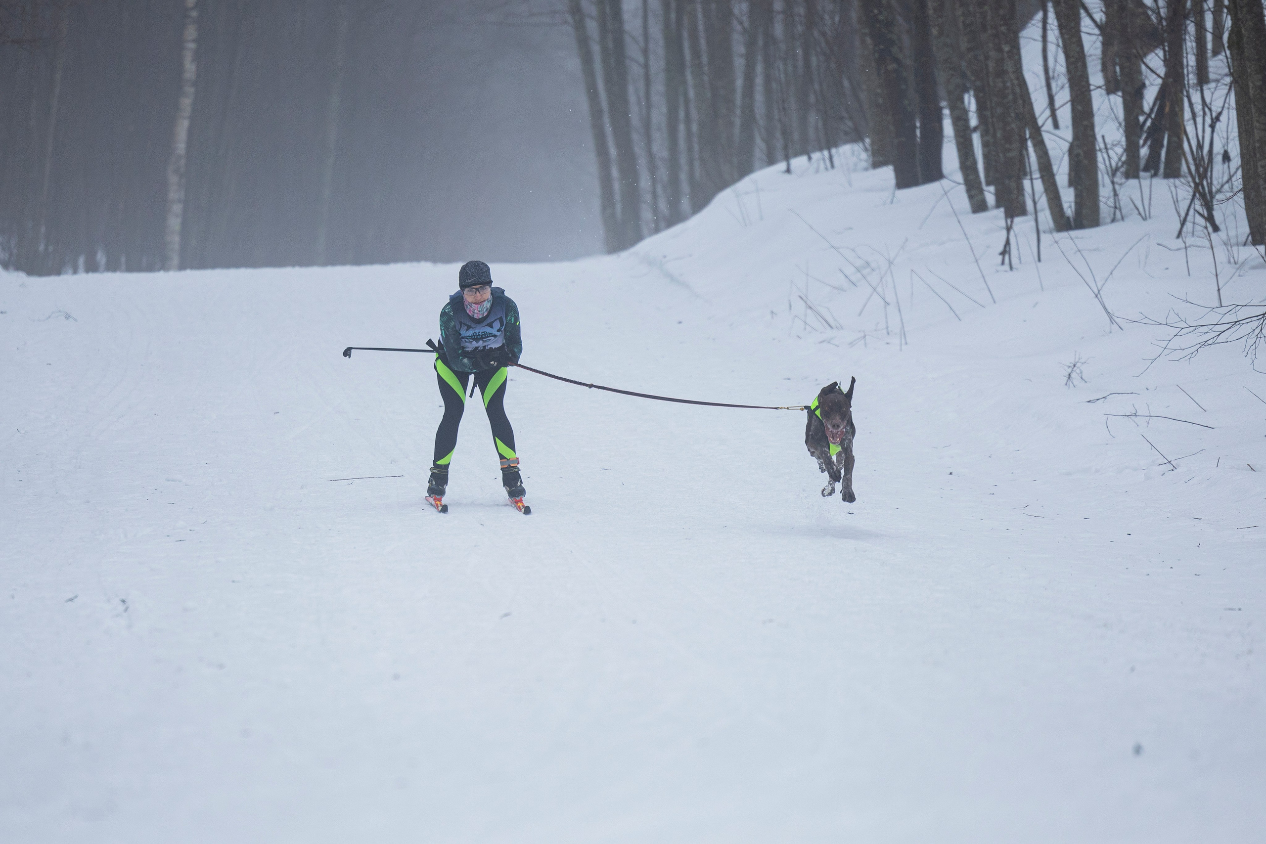 Зимний Чемпионат Санкт-Петербурга по ездовому спорту. Фотограф-анималист Анна Маринич