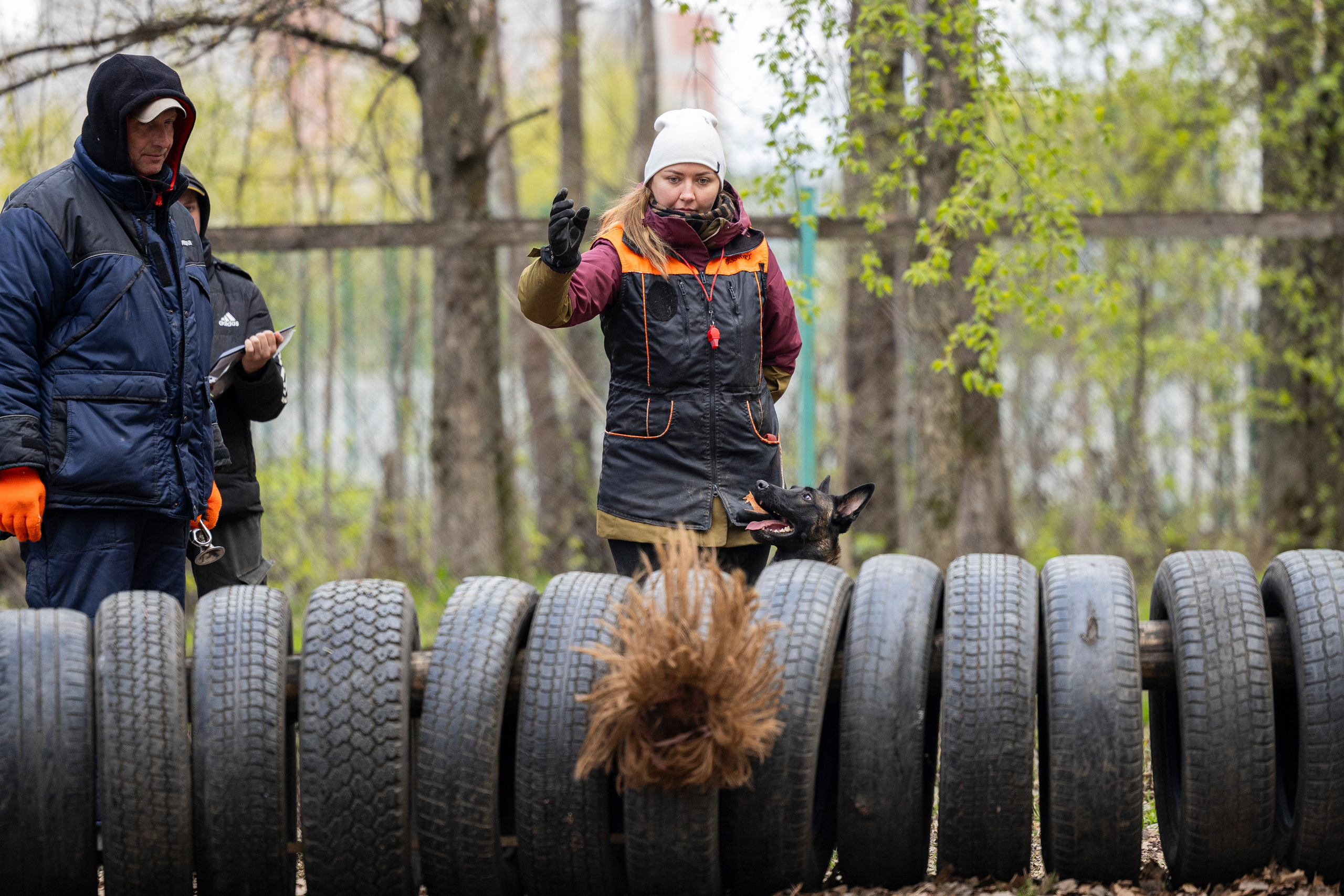 Квалификационные состязания по мондьорингу г. Вологда 11.05.24. Фотограф-анималист Анна Маринич
