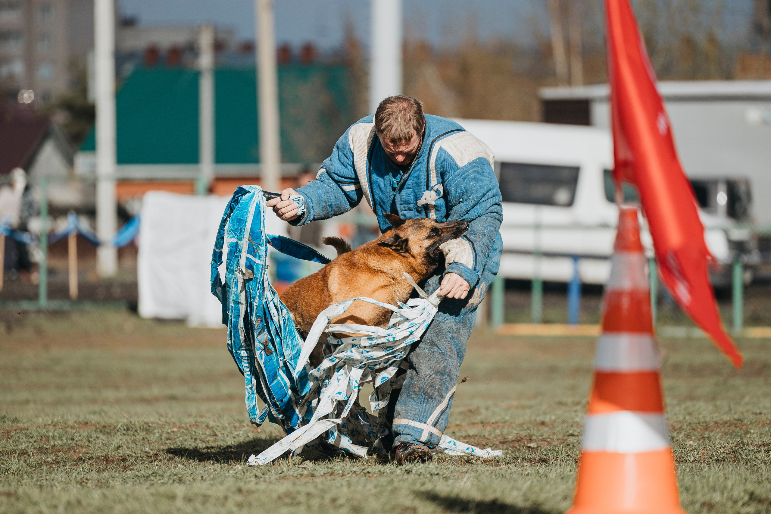 09.05.25 Вологда соревнования. Фотограф-анималист Анна Маринич