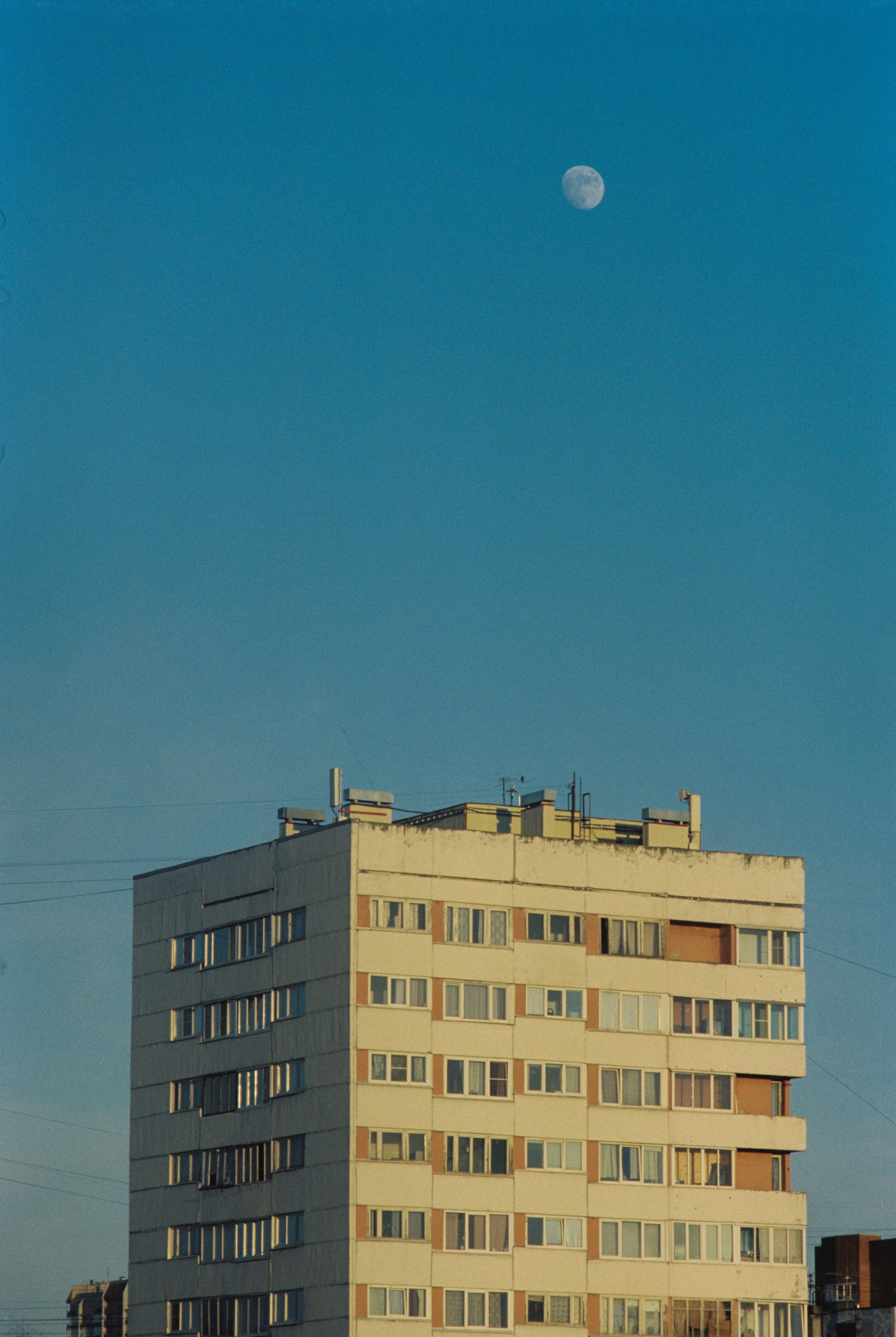 Плёночная весна 2025. Илья Михачёв Фотограф ПРО людей